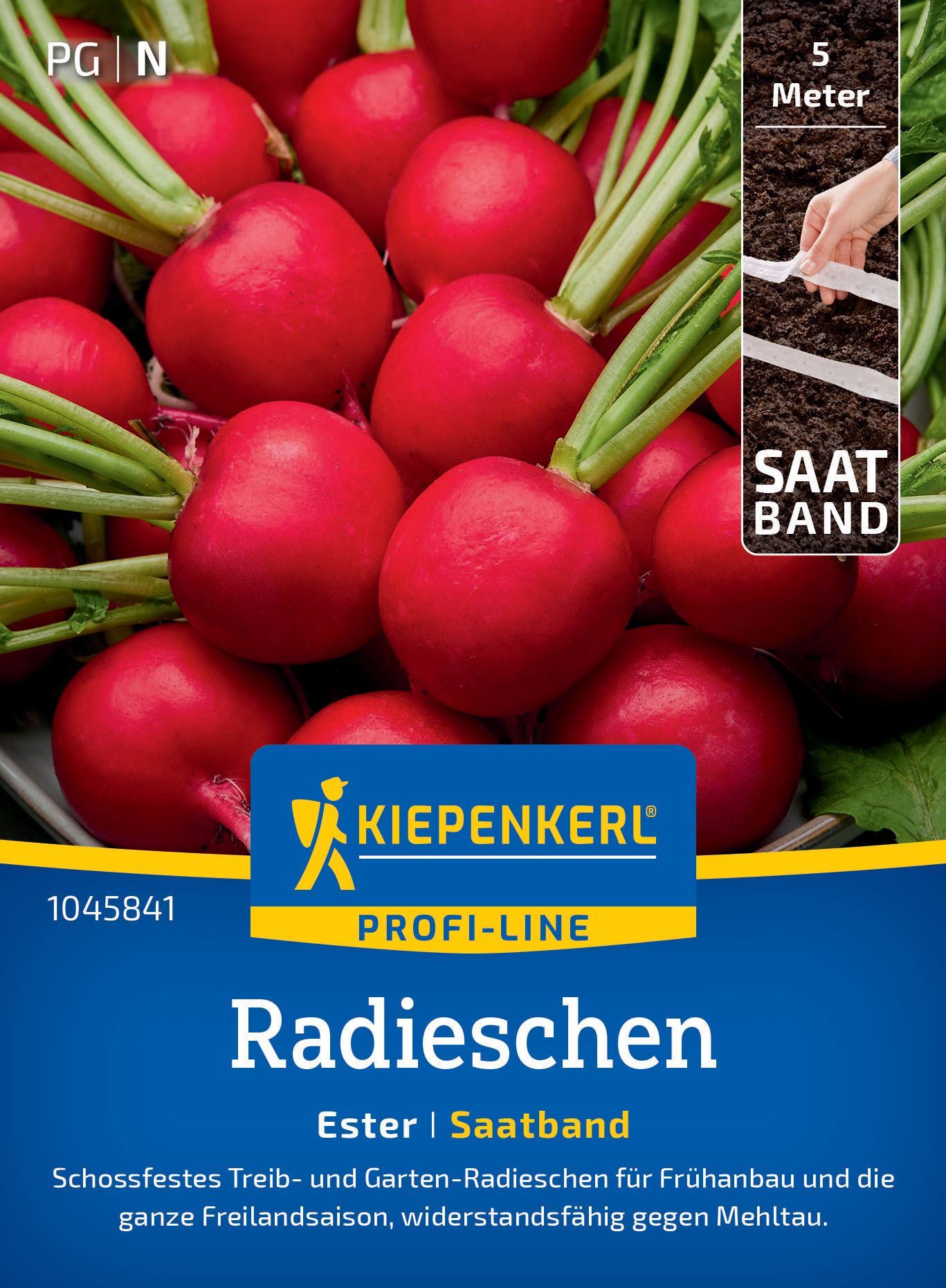 Radieschen Ester, Saatband
