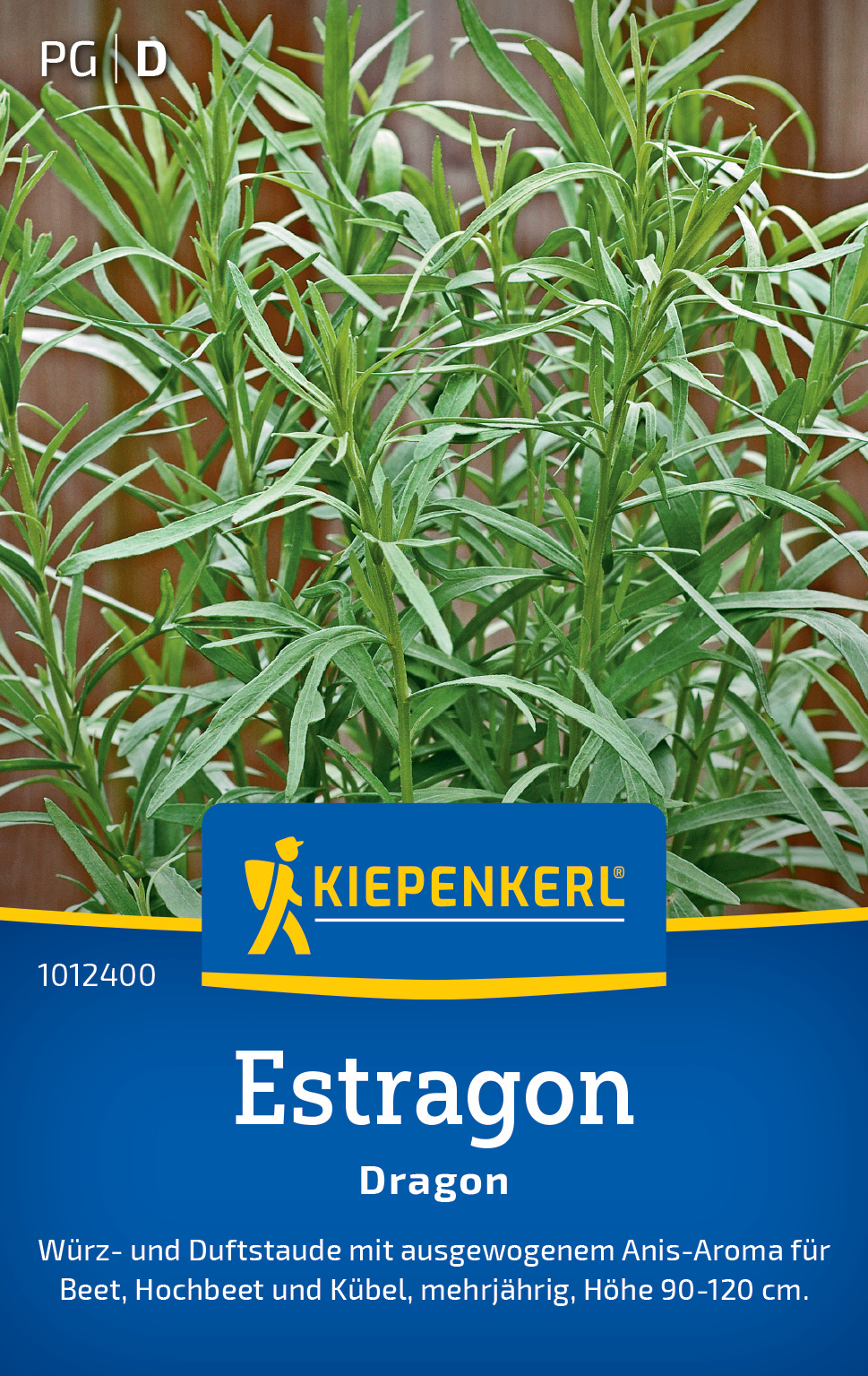 Estragon Dragon