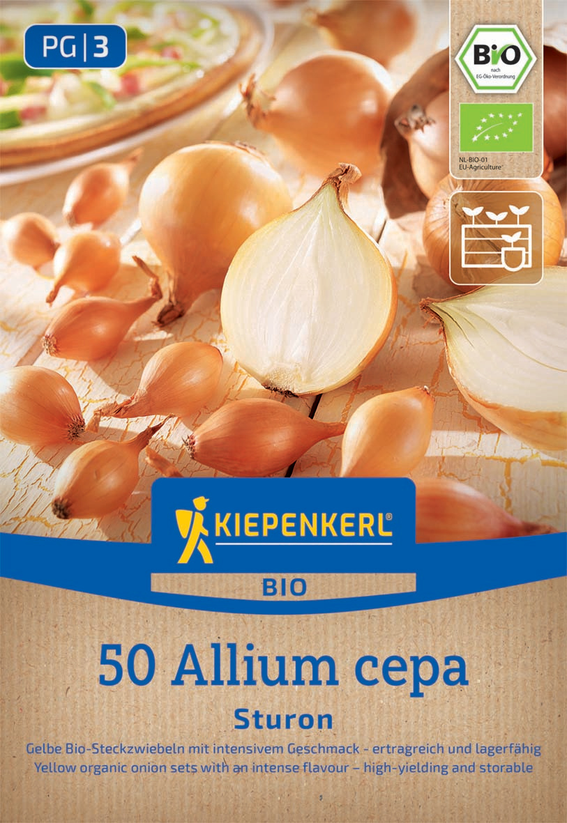 BIO Steckzwiebel Sturon, Gr. 12/21