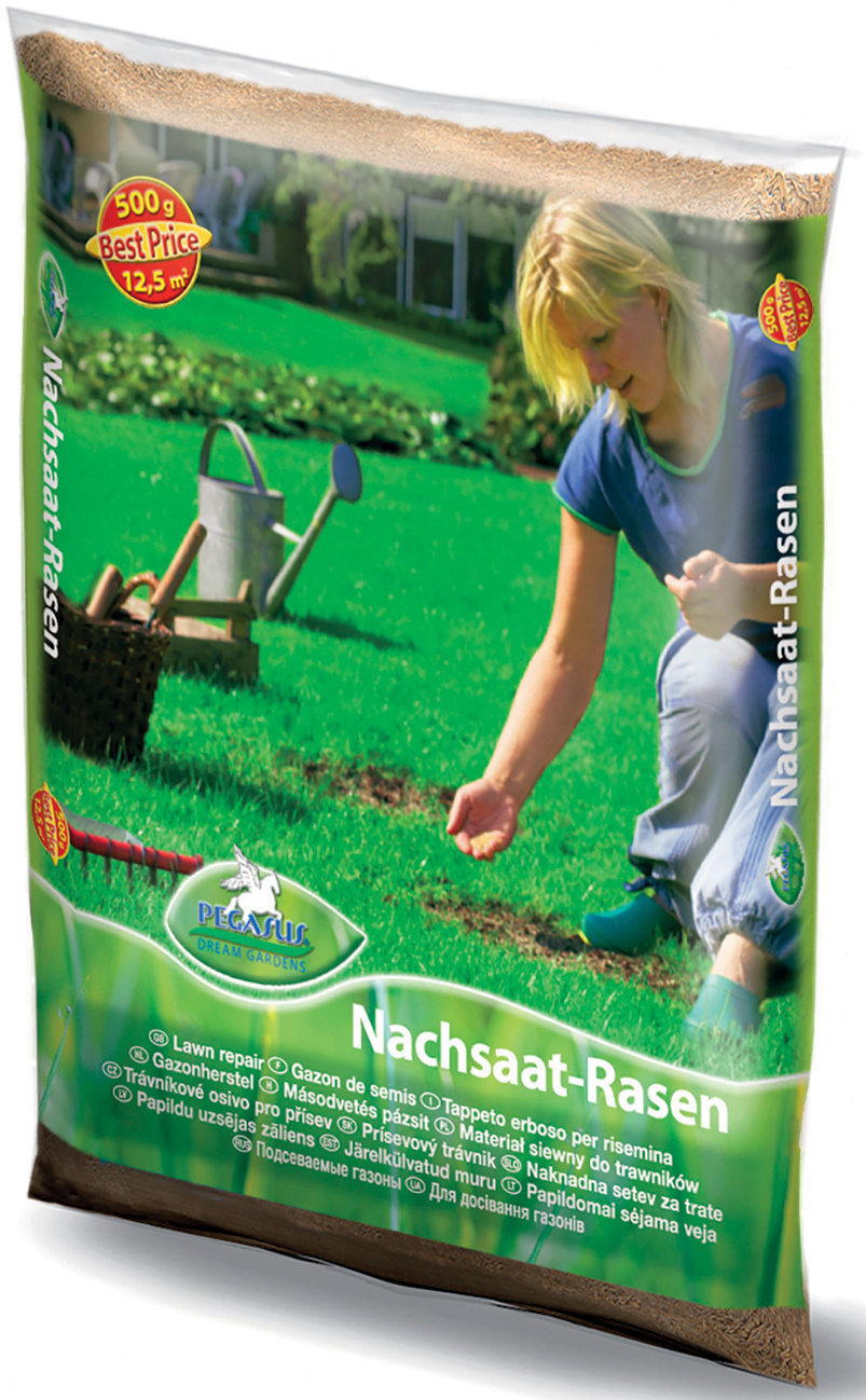 Pegasus Nachsaat-Rasen, 0,5 kg