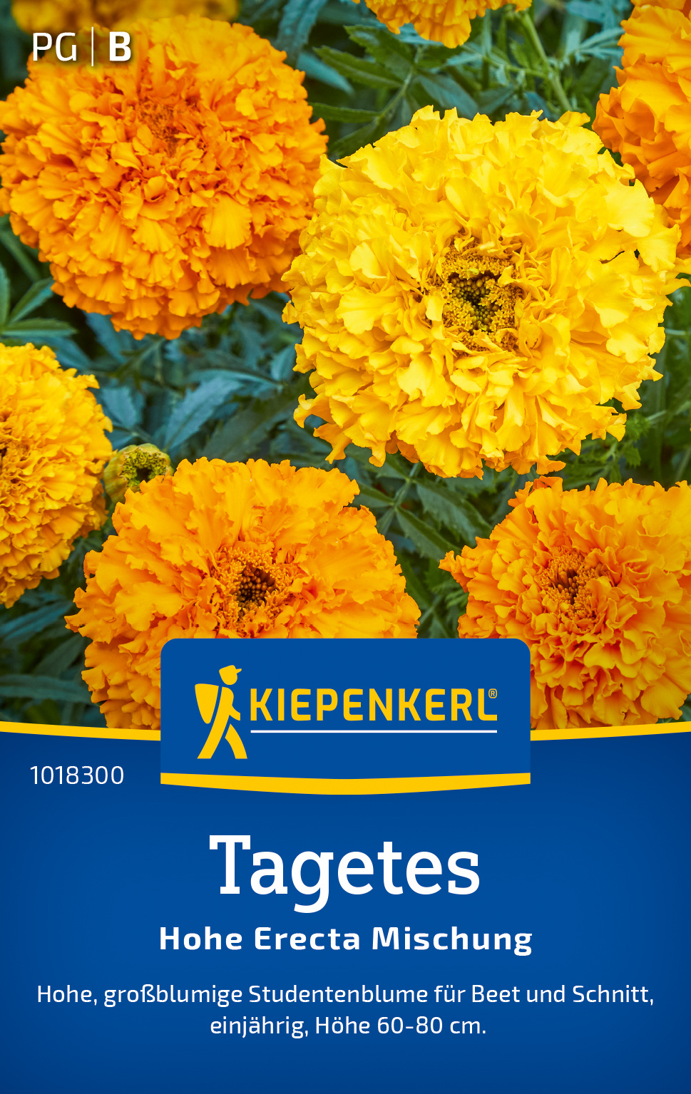 Tagetes Hohe Erecta Mischung