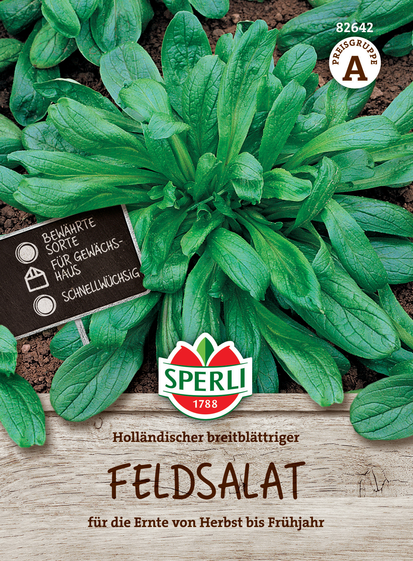 Feldsalat Holländischer breitblättriger Feldsalat Holländischer breitblättriger