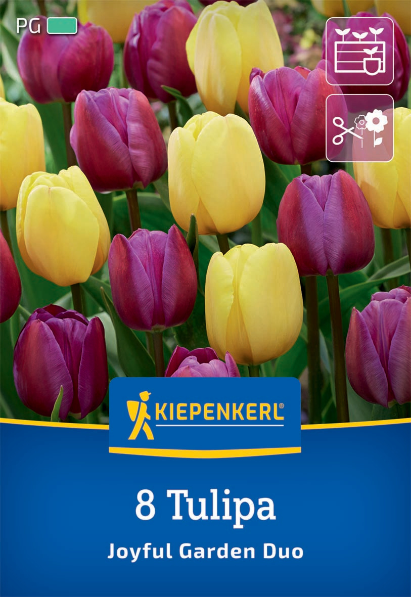 Tulpen Mix Joyful Garden