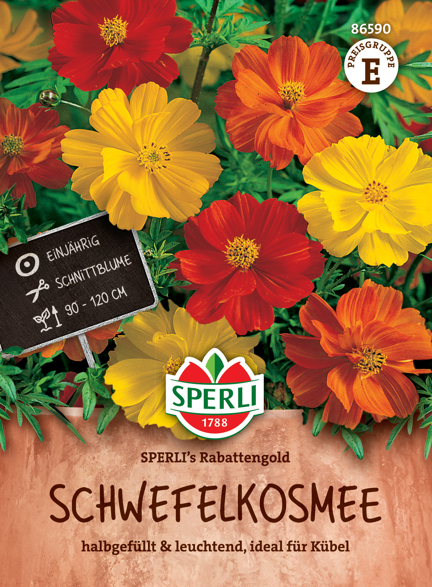Schwefelkosmee SPERLI's Rabattengold Schwefelkosmee SPERLI's Rabattengold