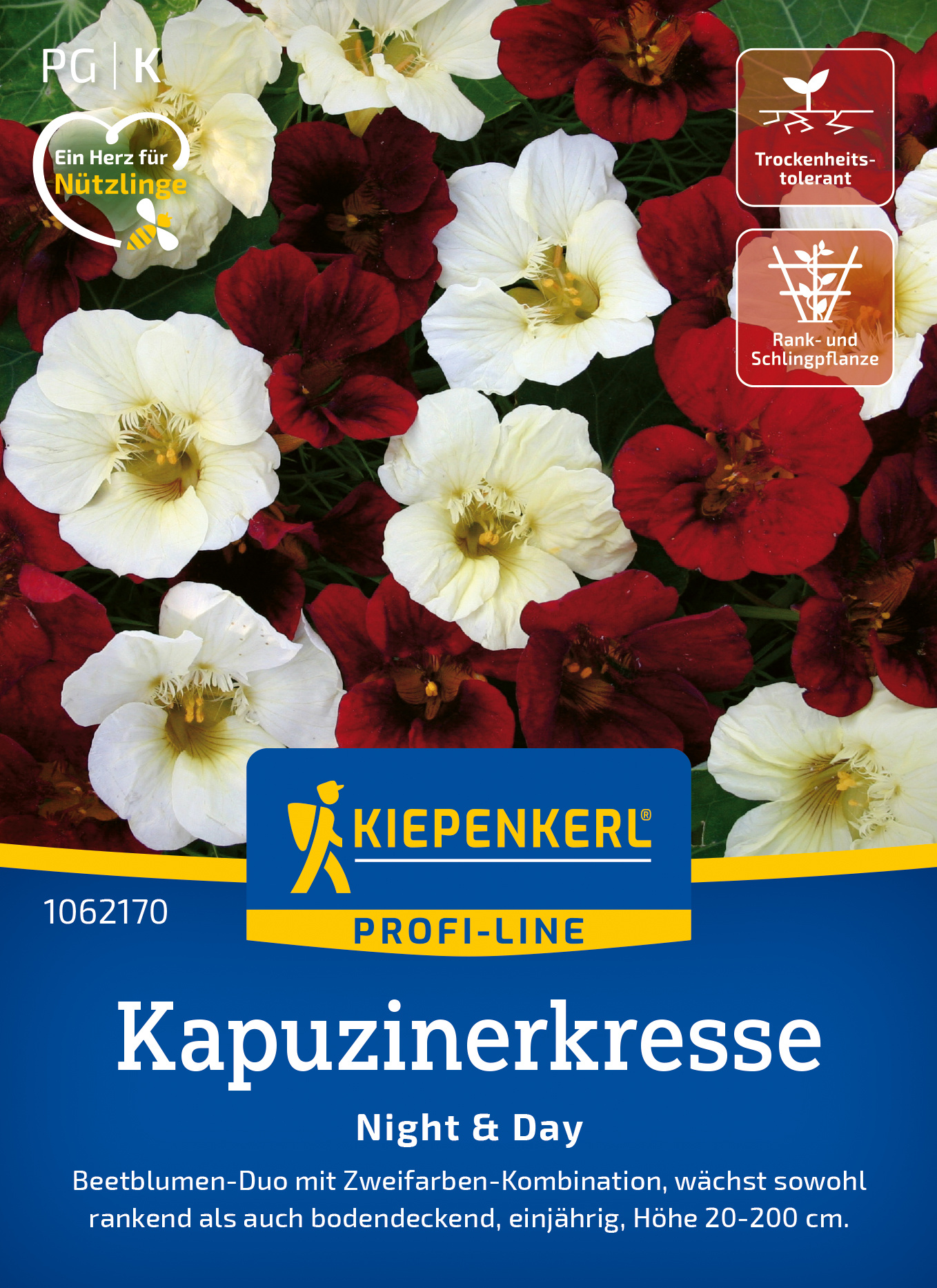 Kapuzinerkresse Night & Day