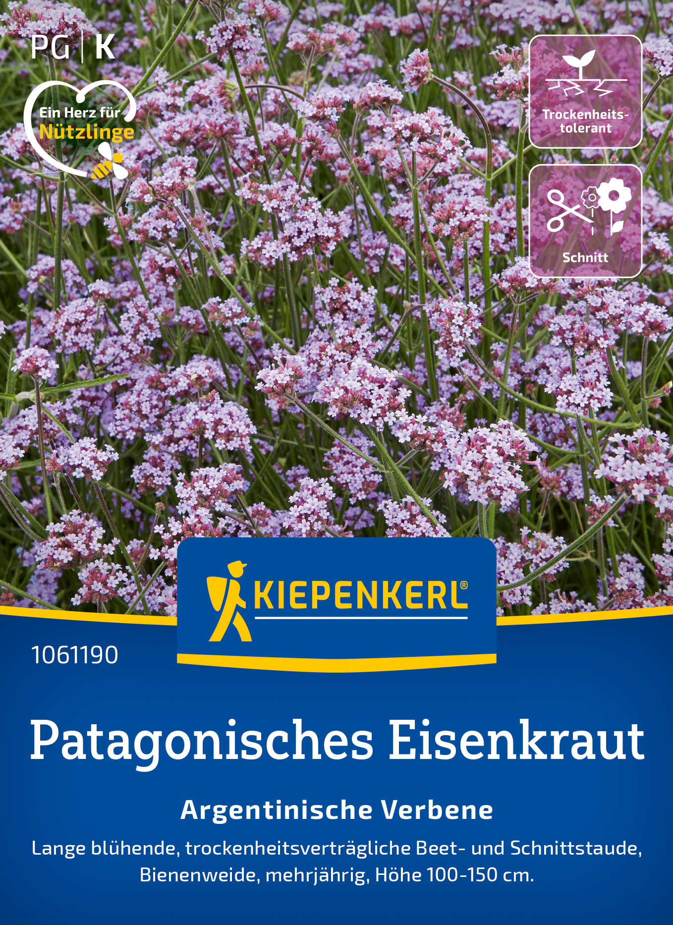 Patagonisches Eisenkraut Argentinische Verbene Patagonisches Eisenkraut Argentinische Verbene