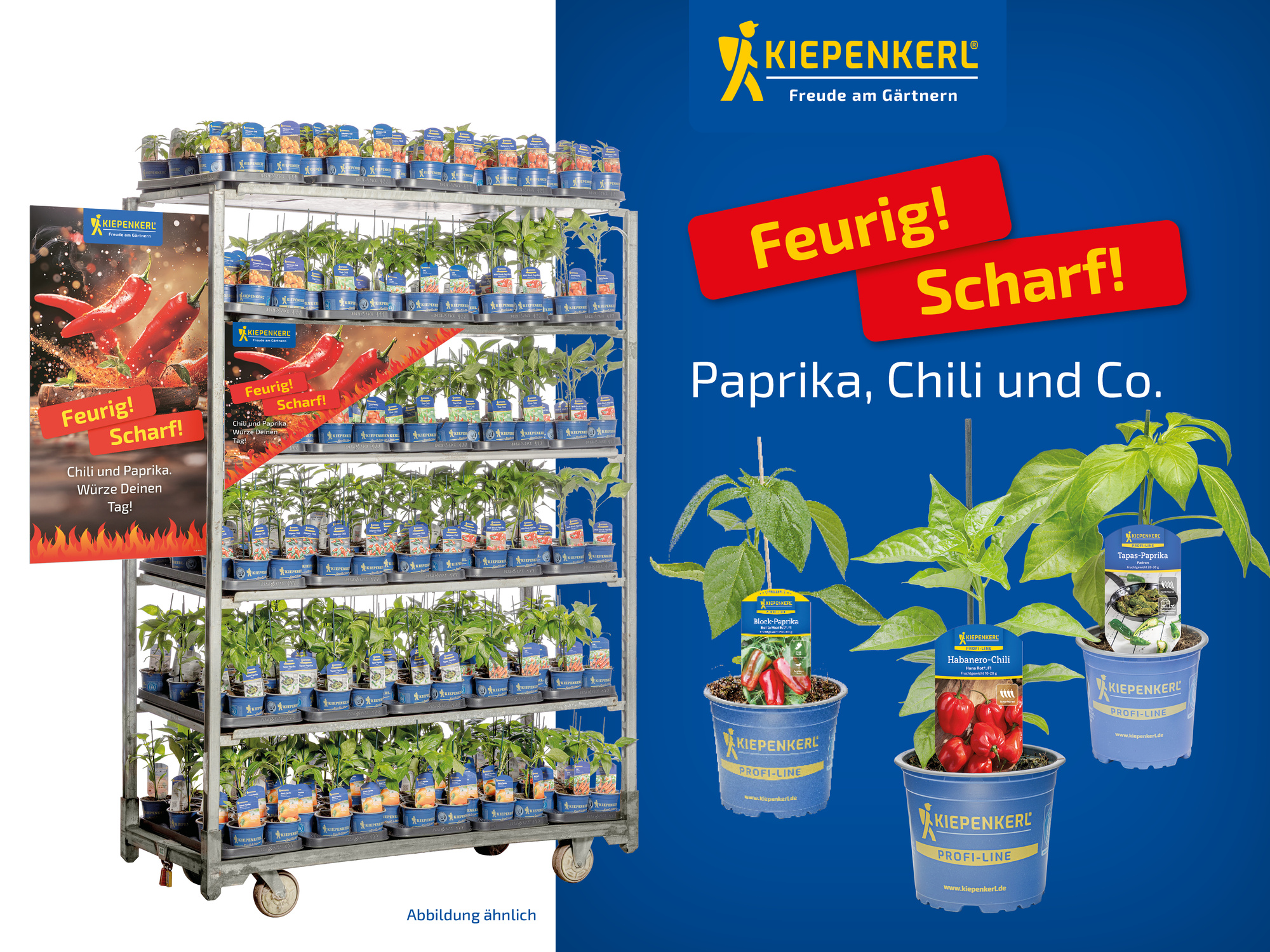 2026 - Frühjahr - ProfiLine Pflanzen - Feurig! Scharf! - Paprika, Chili, Habanero und Co.