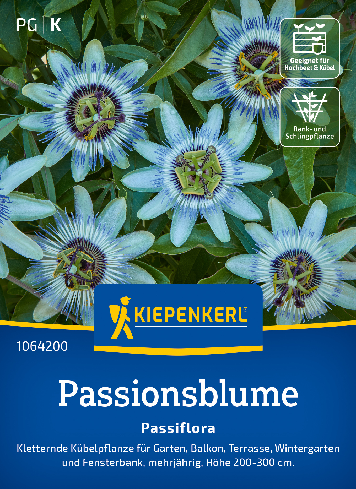 Passionsblume Passiflora