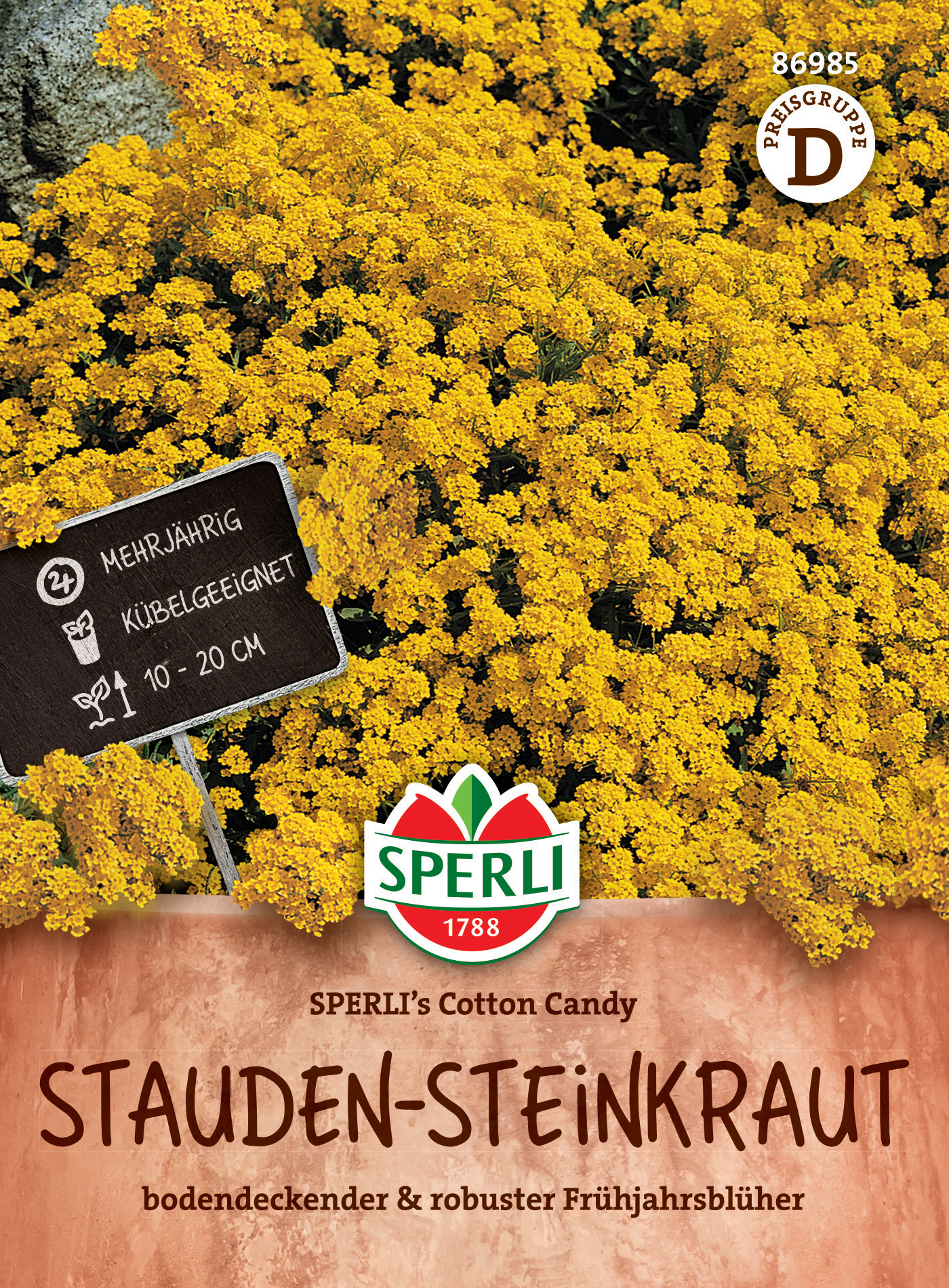 Stauden-Steinkraut SPERLI's Cotton Candy Stauden-Steinkraut SPERLI's Cotton Candy