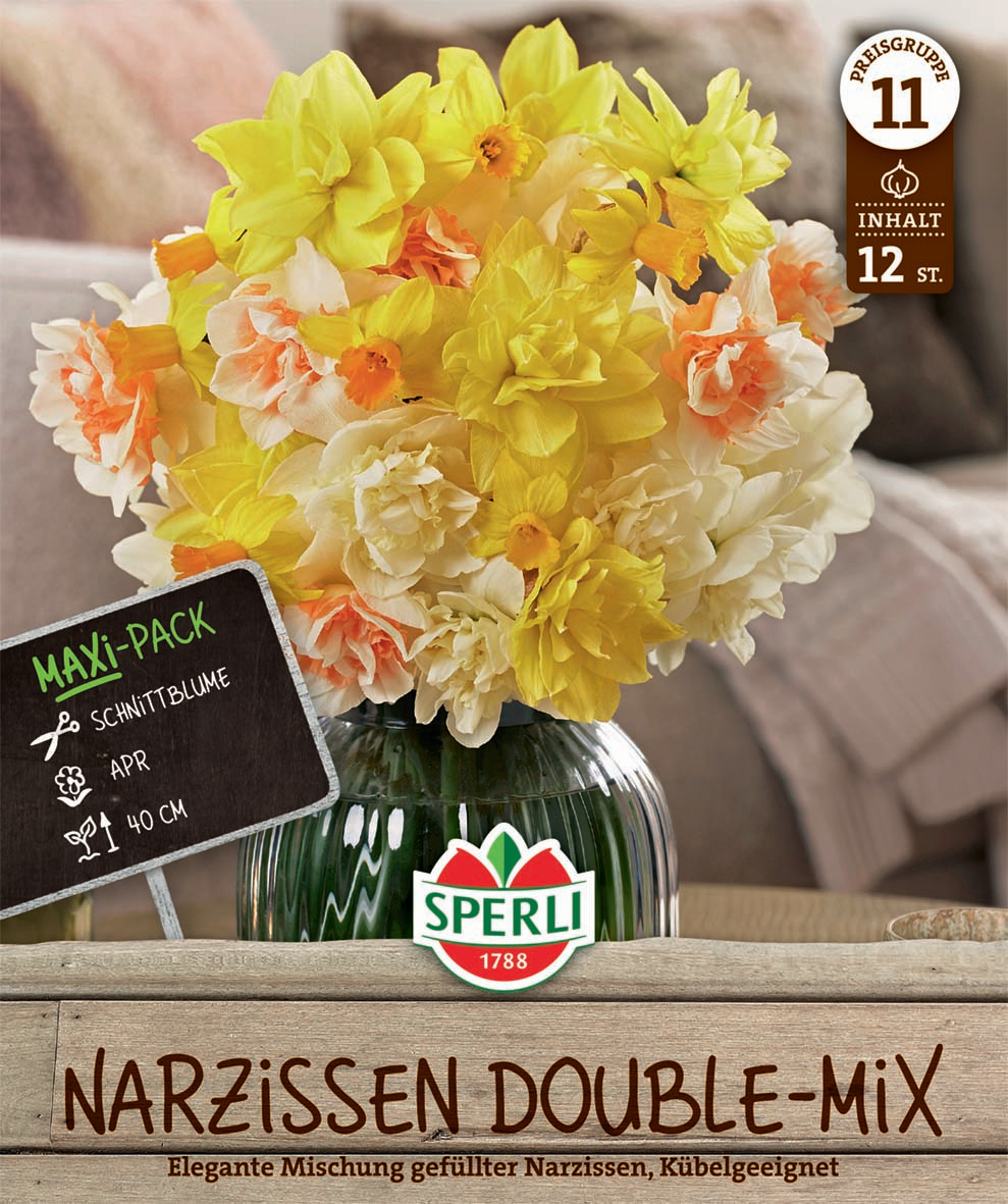 Maxi Narzissen Gefüllte Farbmischung