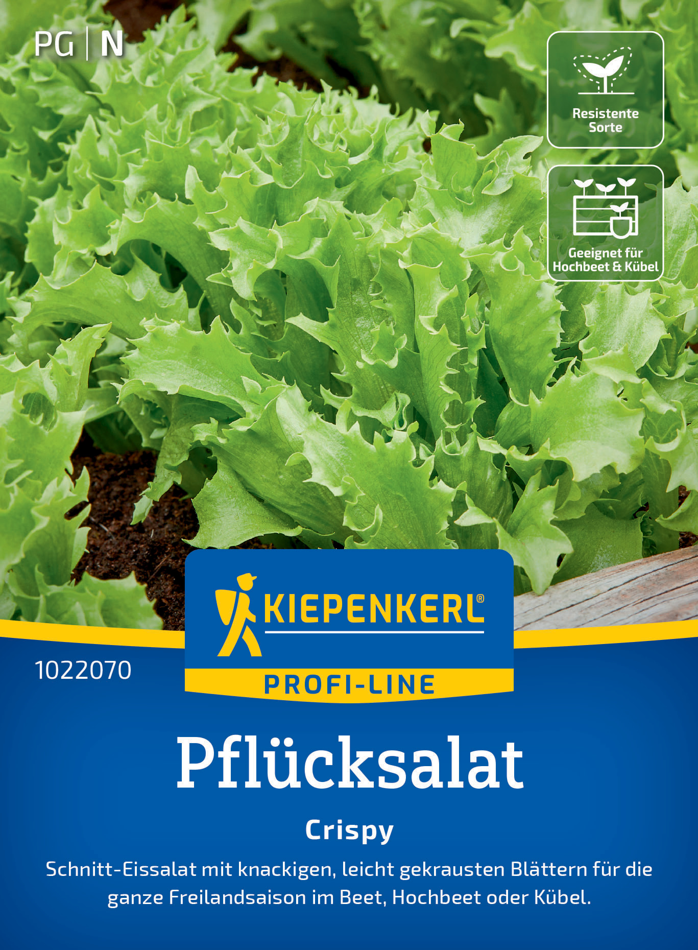 Pflücksalat Crispy (Schnittsalat)