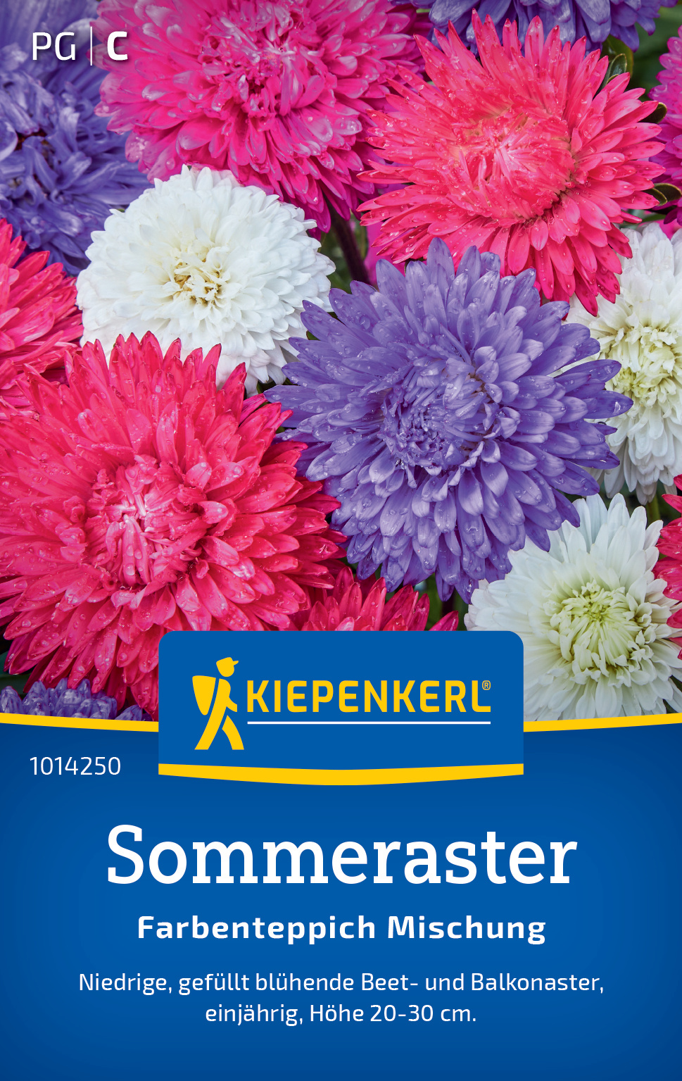 Sommeraster Farbenteppich Mischung Sommeraster Farbenteppich Mischung