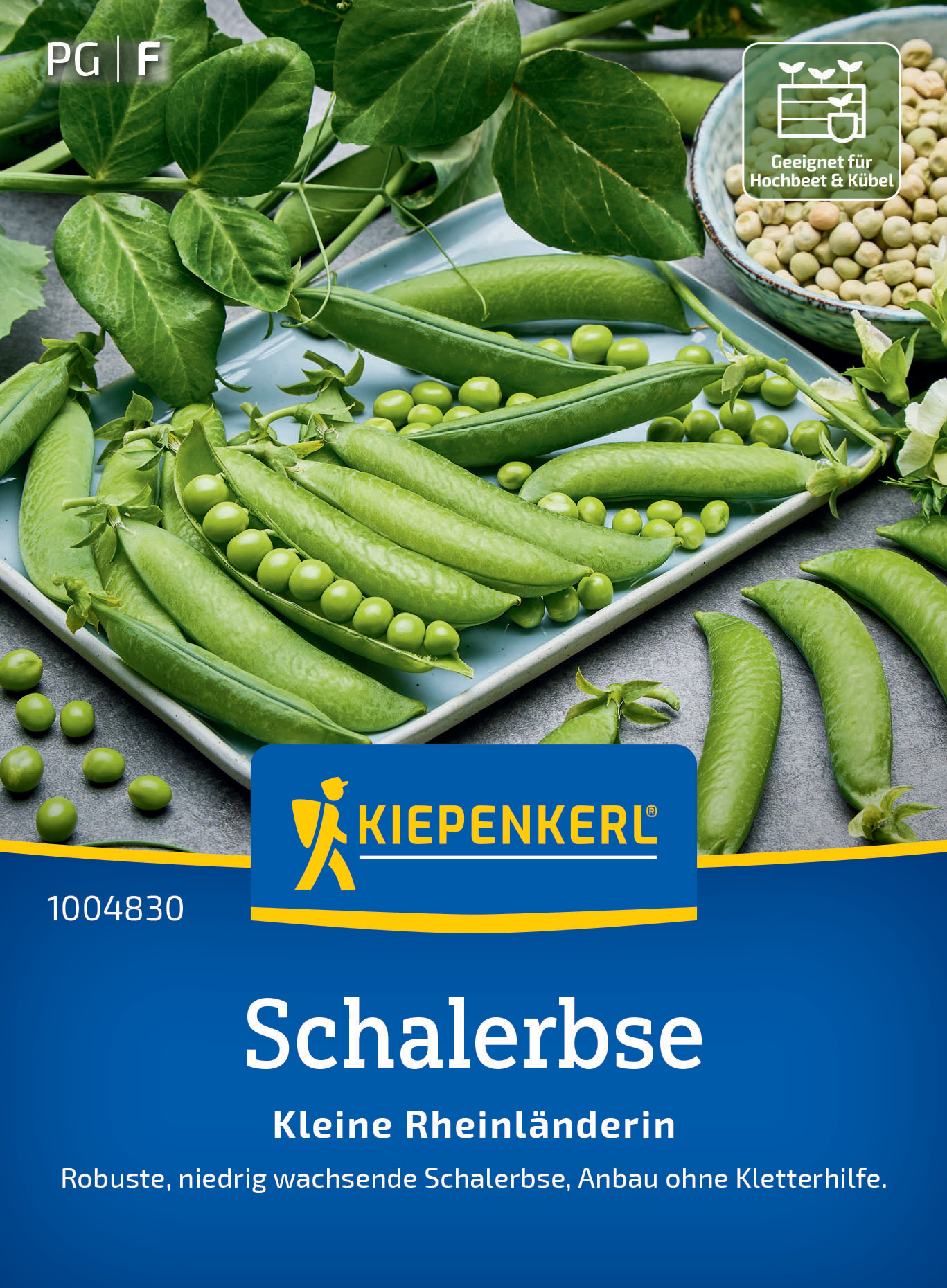 Schalerbse Kleine Rheinländerin