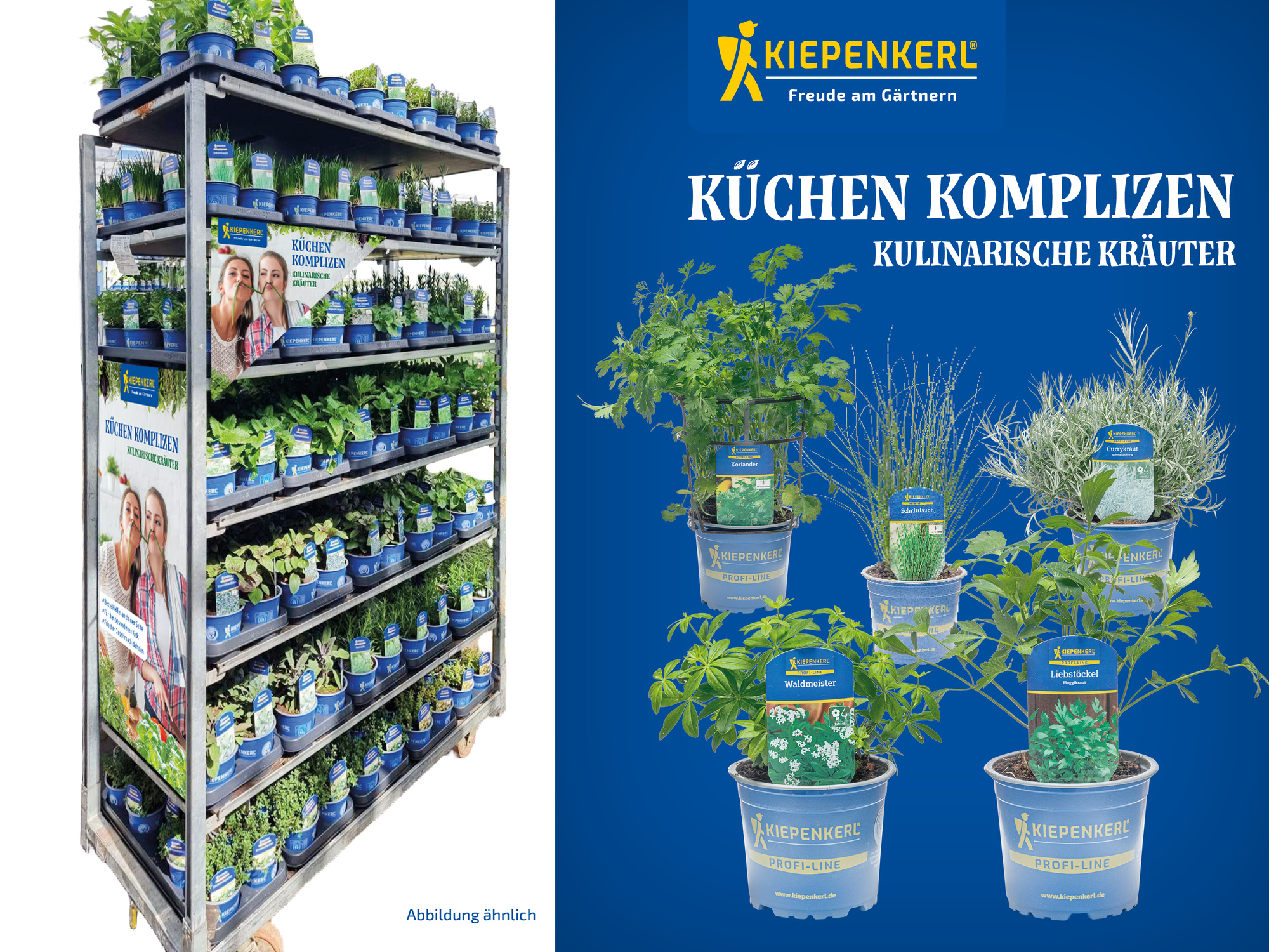 2026 - Frühjahr - ProfiLine Pflanzen - Küchen Komplizen - Gartenkräuter