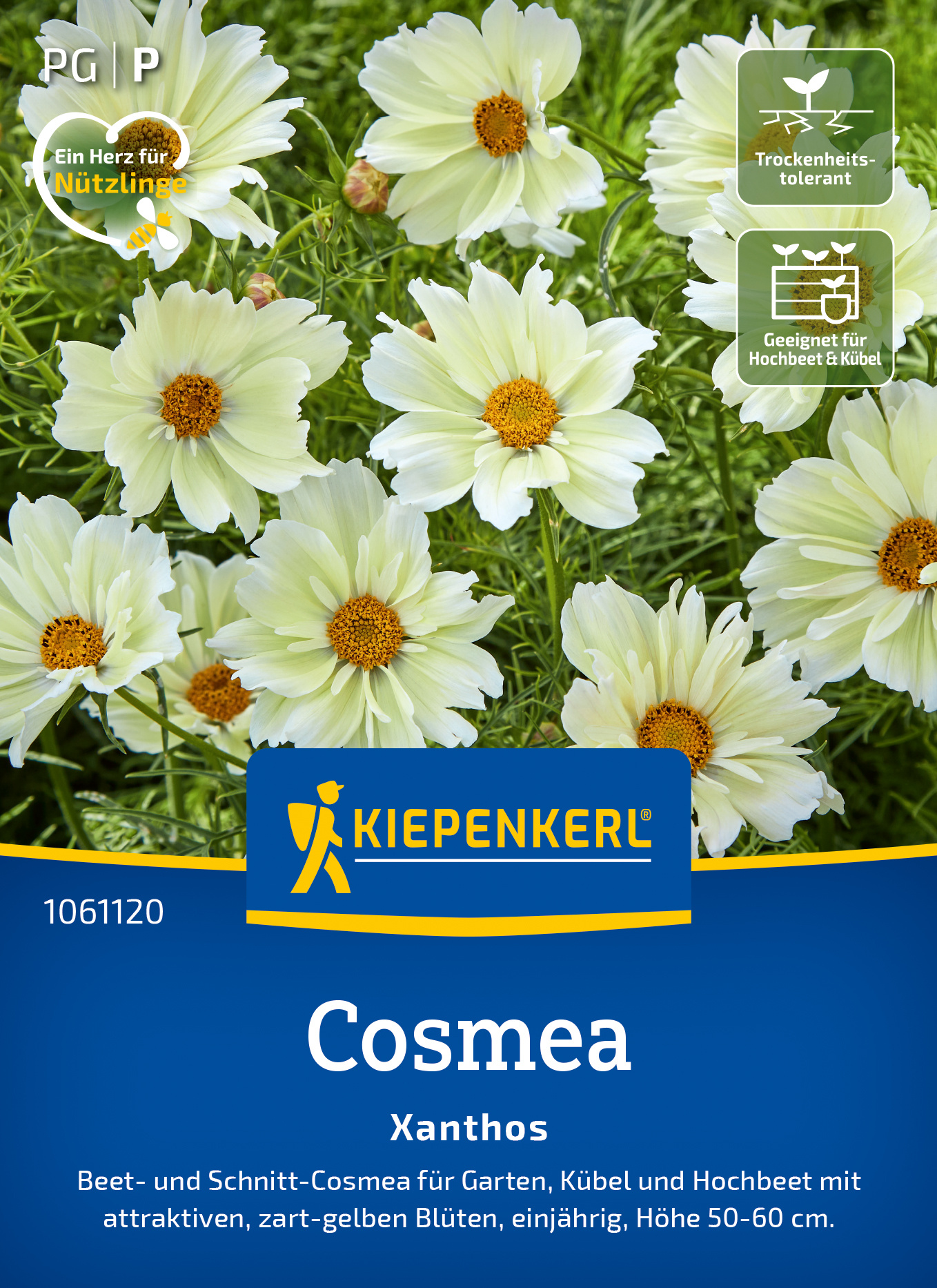 Cosmos Xanthos