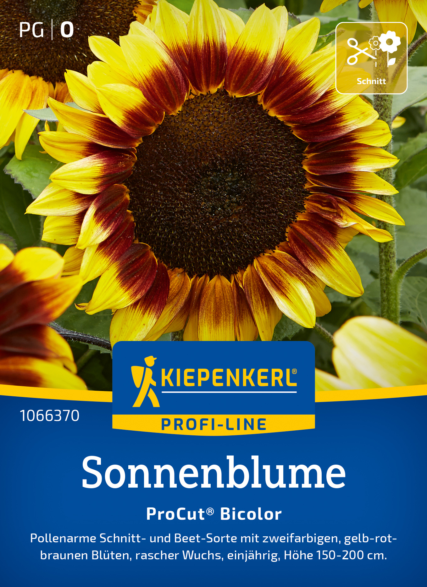Sonnenblume ProCut® Bicolor, F1 Sonnenblume ProCut® Bicolor, F1