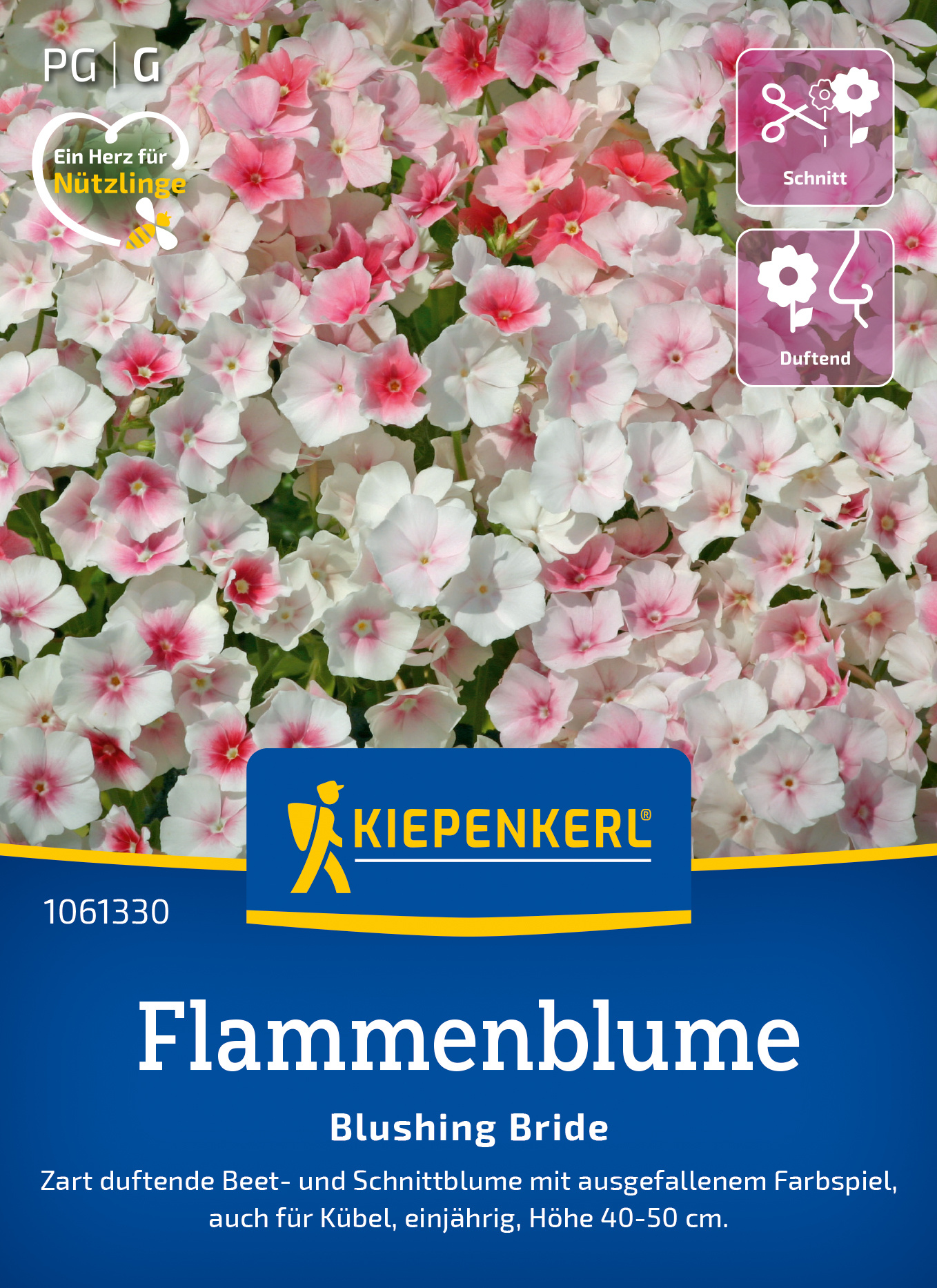 Flammenblume Blushing Bride