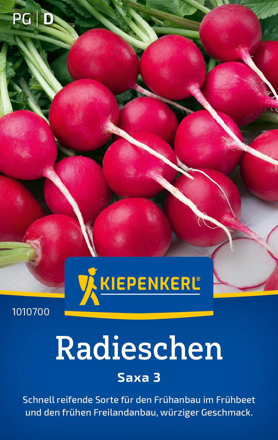 Radieschen Saxa 3 Radieschen Saxa 3