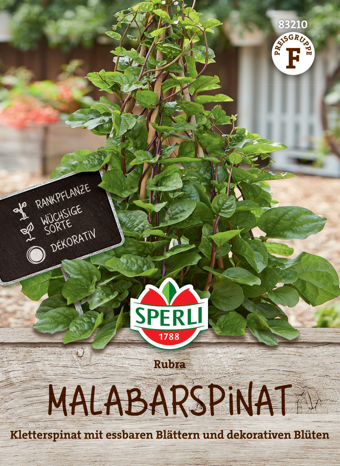 Malabarspinat Rubra Malabarspinat Rubra
