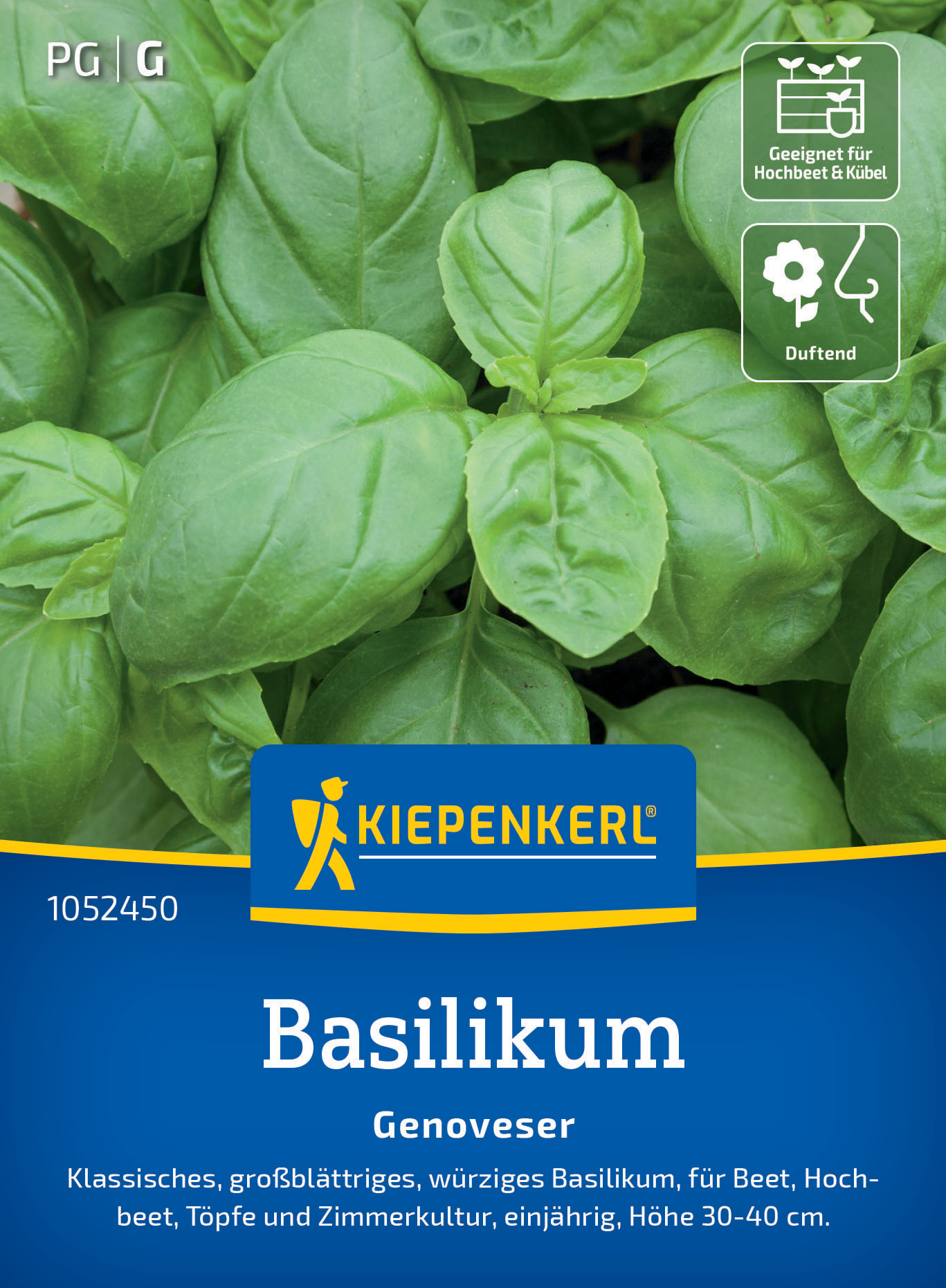 Basilikum Genoveser