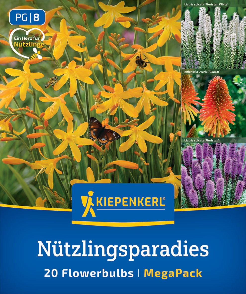 Nützlingsparadies Nützlingsparadies