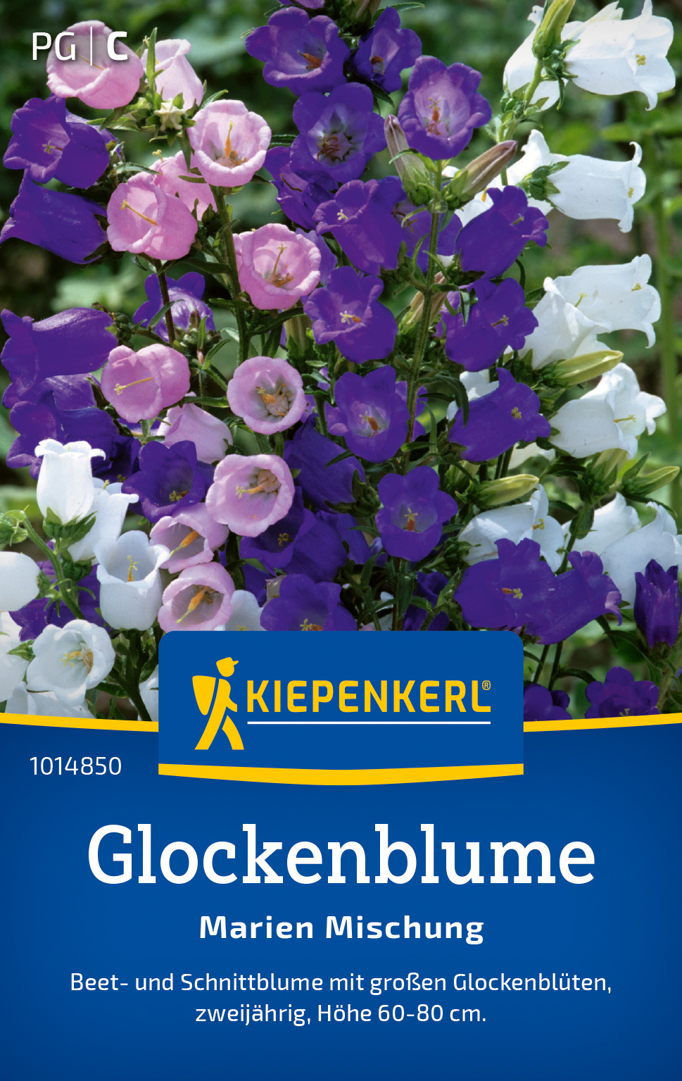 Glockenblume Marien Mischung