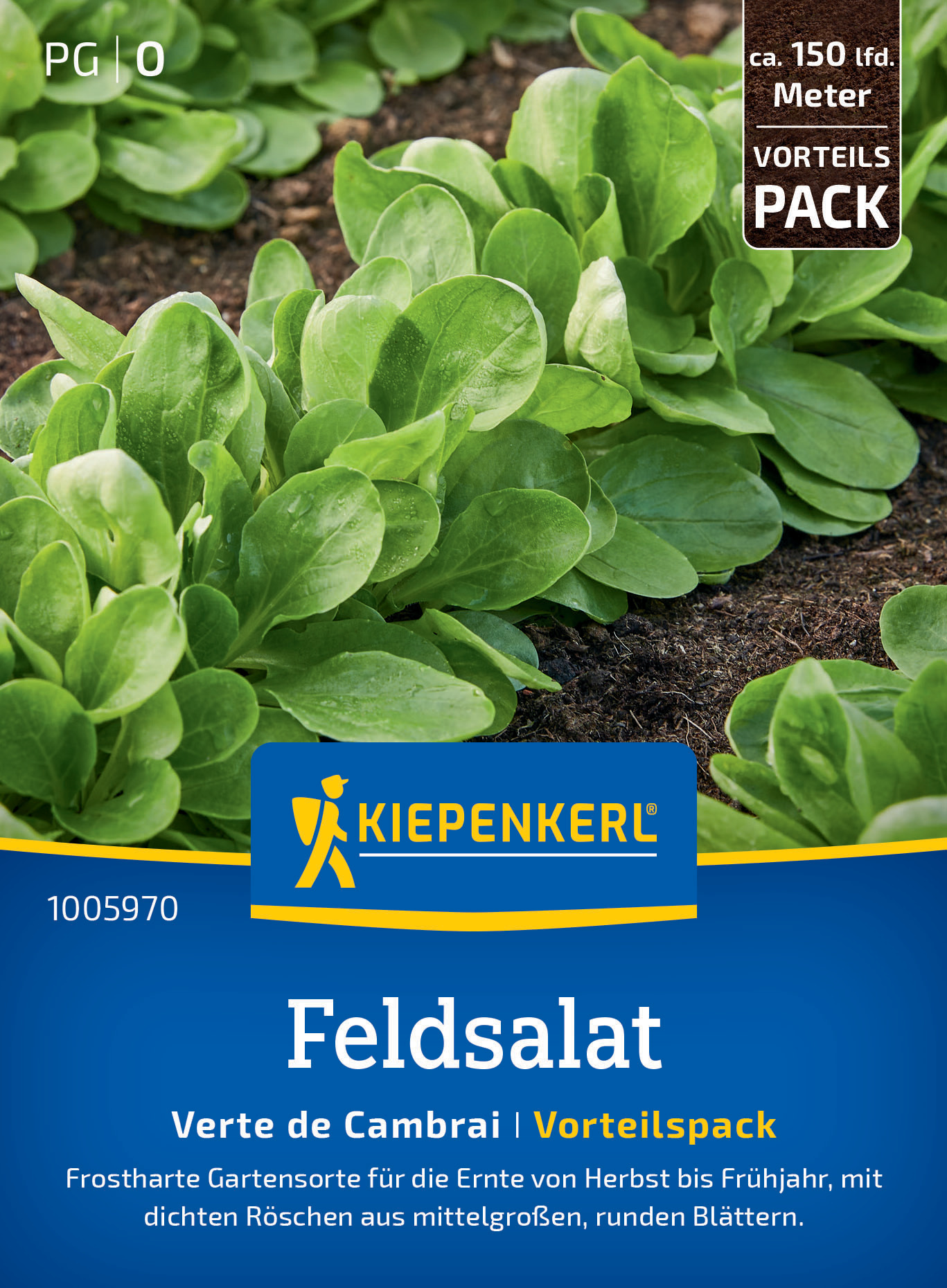 Feldsalat Verte de Cambrai, Vorteilspack