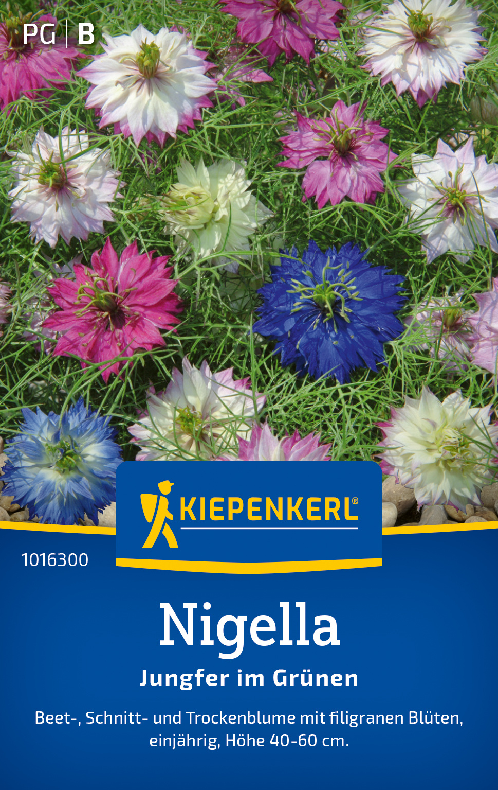 Nigella Jungfer im Grünen