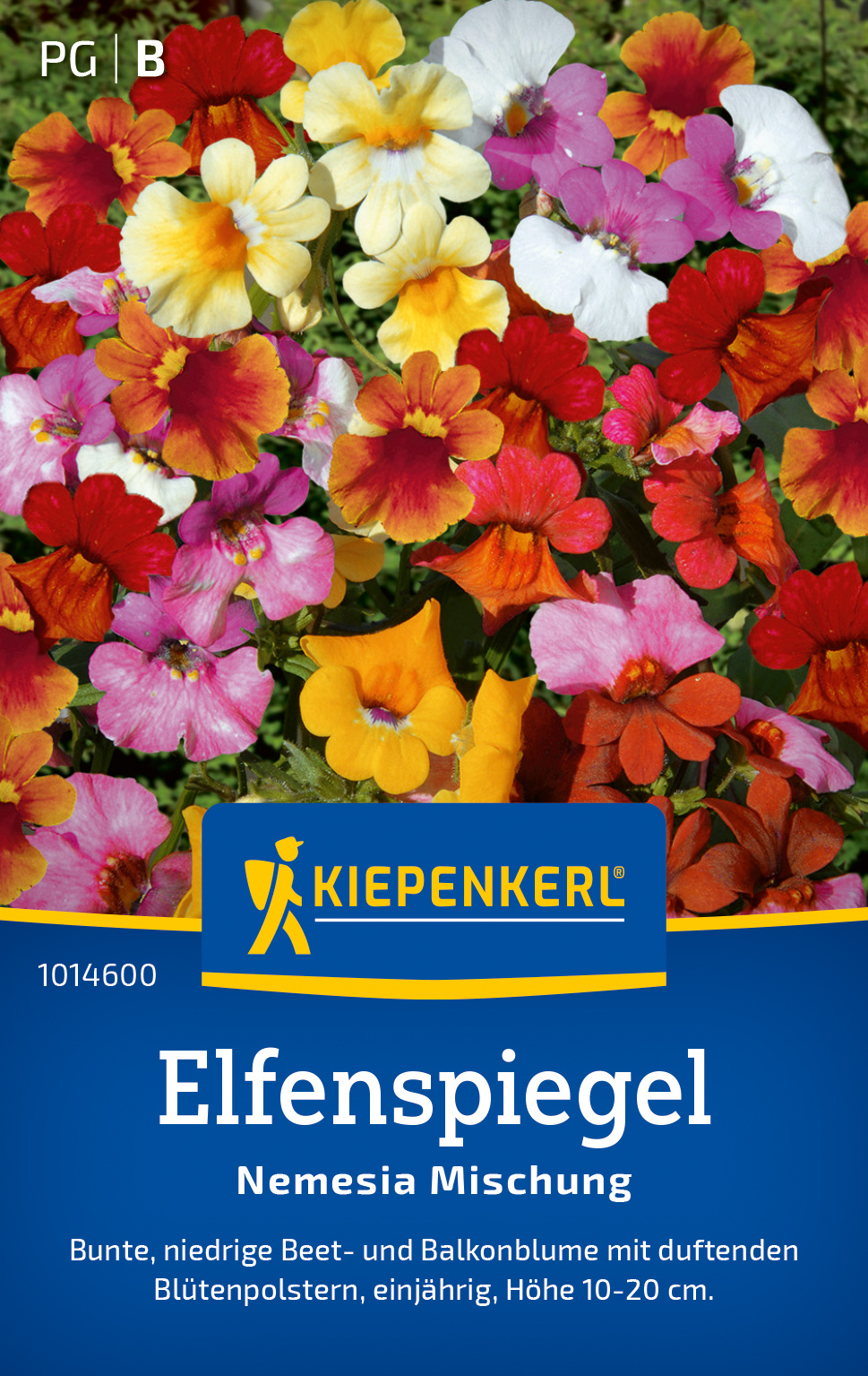 Elfenspiegel Nemesia Mischung Elfenspiegel Nemesia Mischung