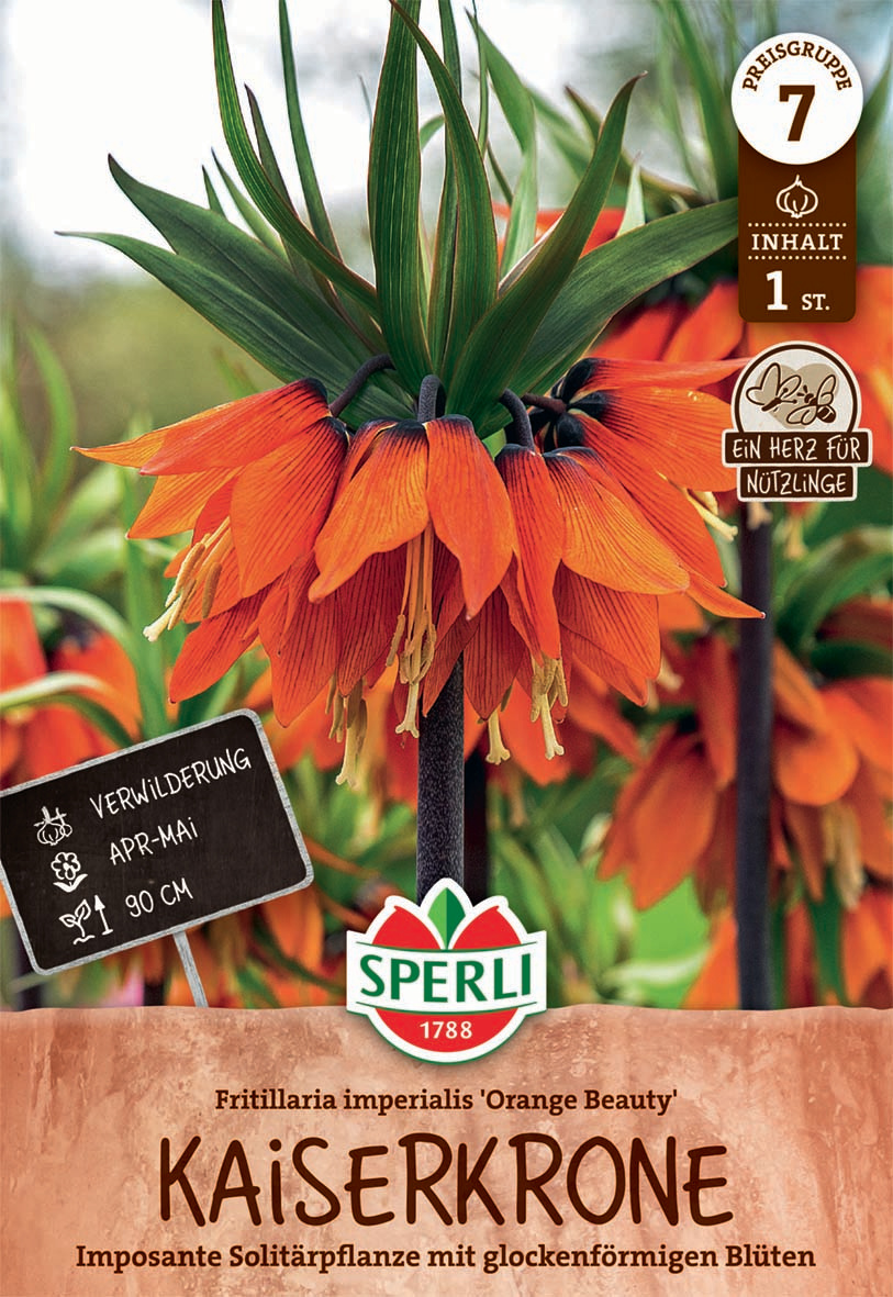 Kaiserkrone Orange Beauty