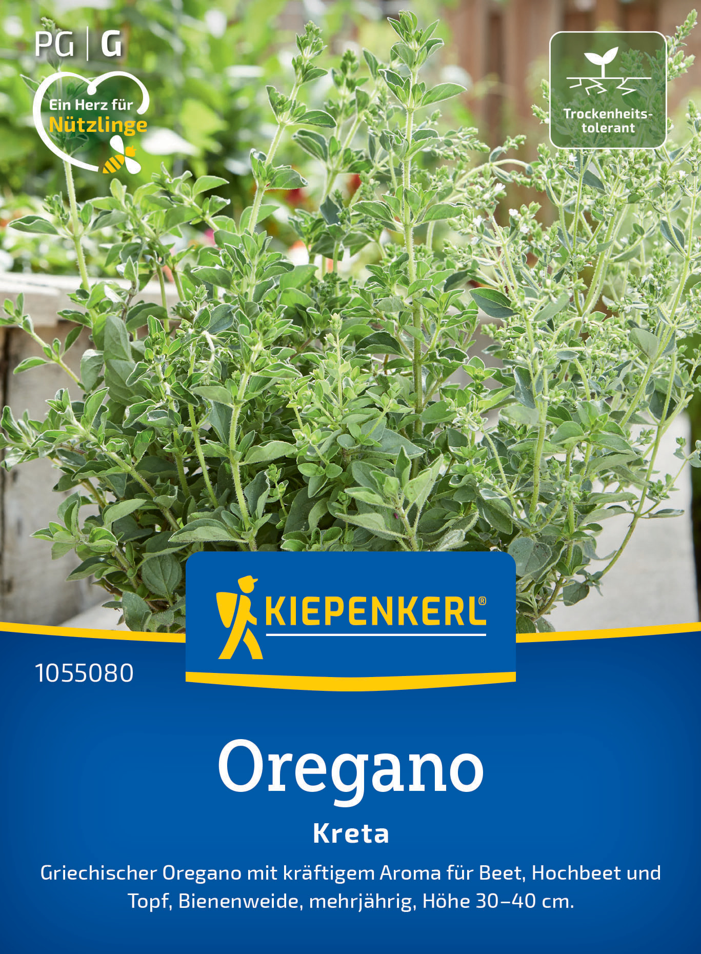 Oregano Kreta Oregano Kreta