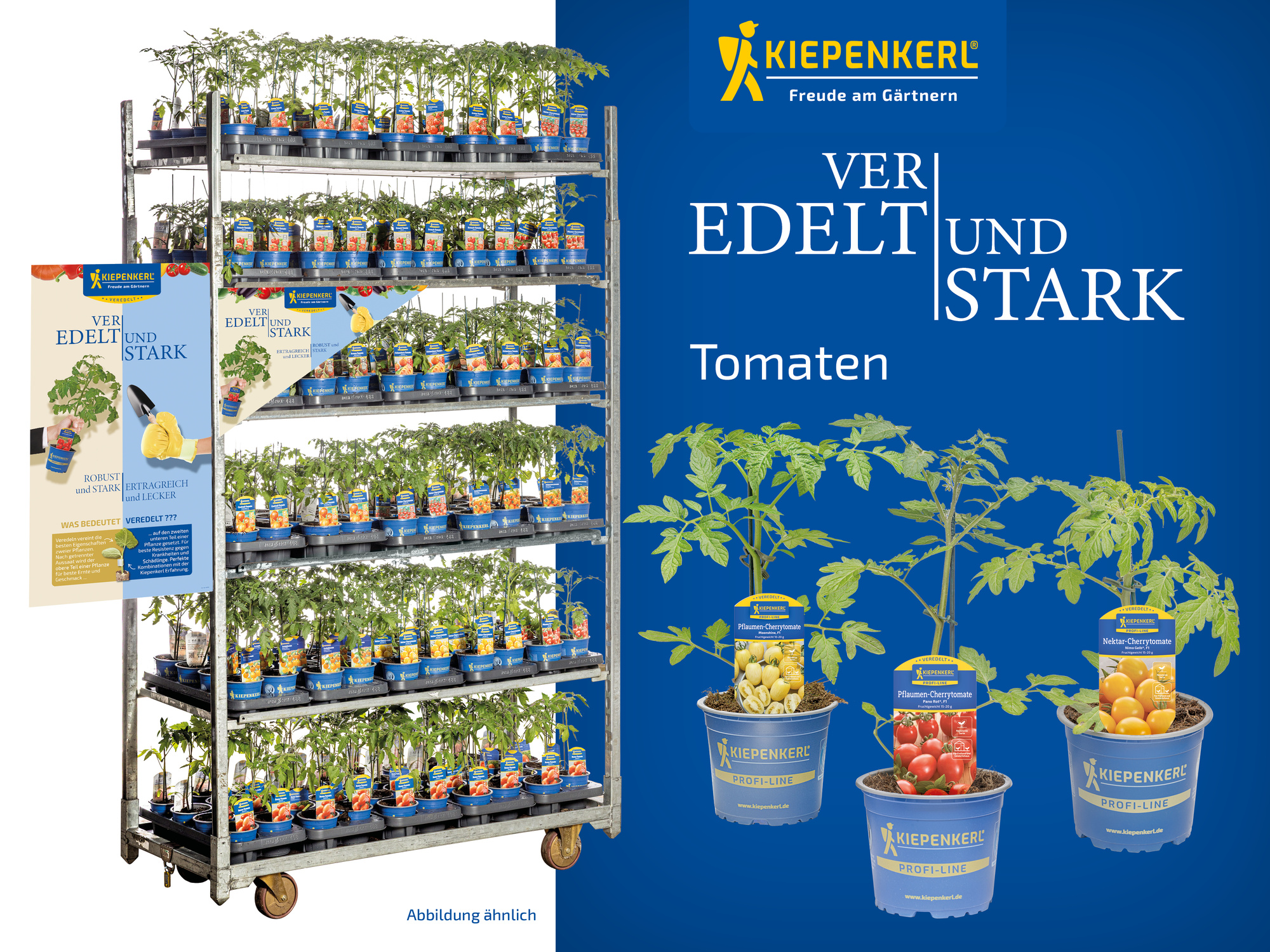 2026 - Frühjahr - ProfiLine Pflanzen - Veredelt & Stark - Tomaten