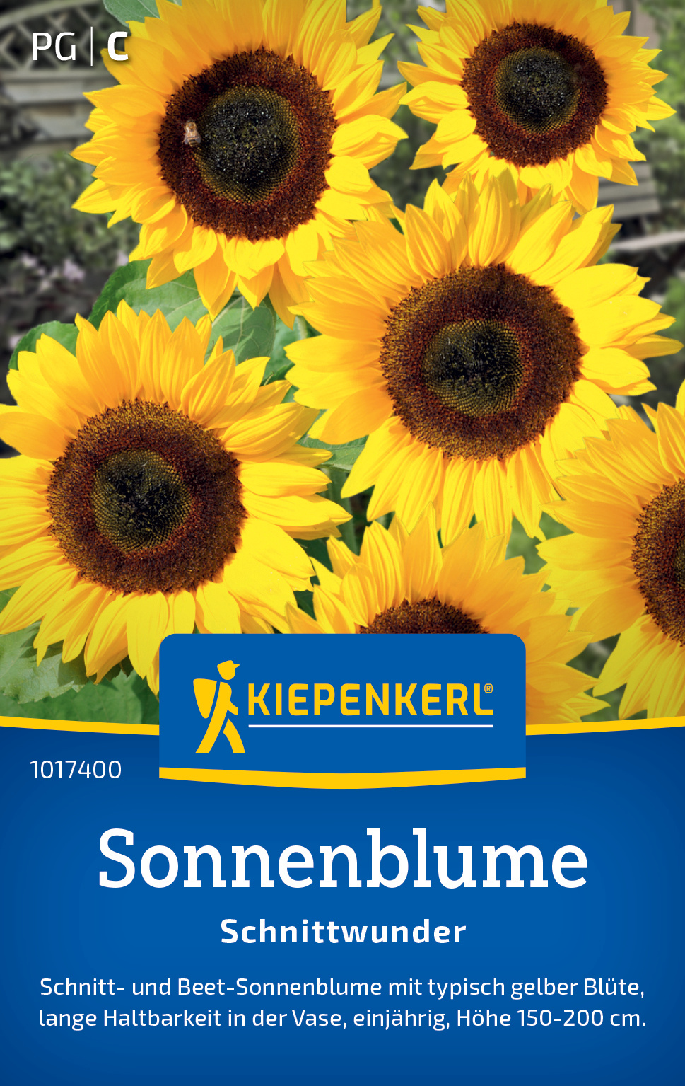 Sonnenblume Schnittwunder
