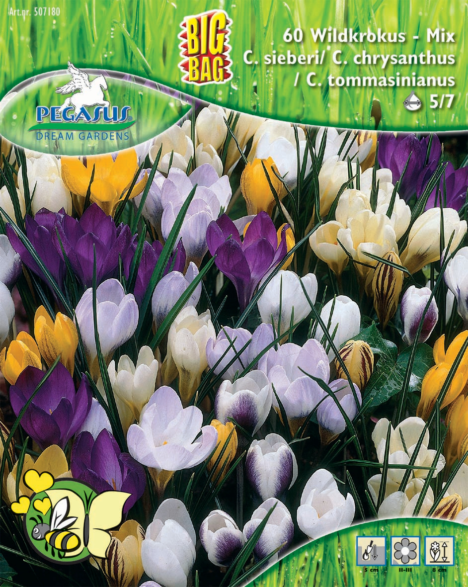 Pegasus BigBag Botanische Krokus Mischung