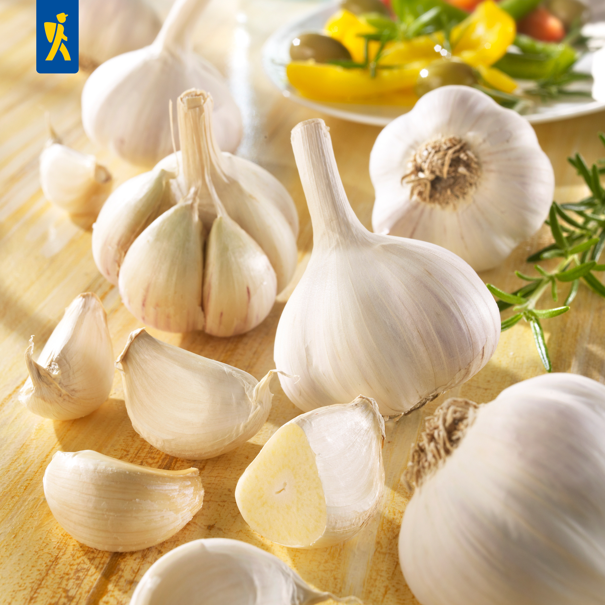 Winterpflanzknoblauch Messidrome - weiß