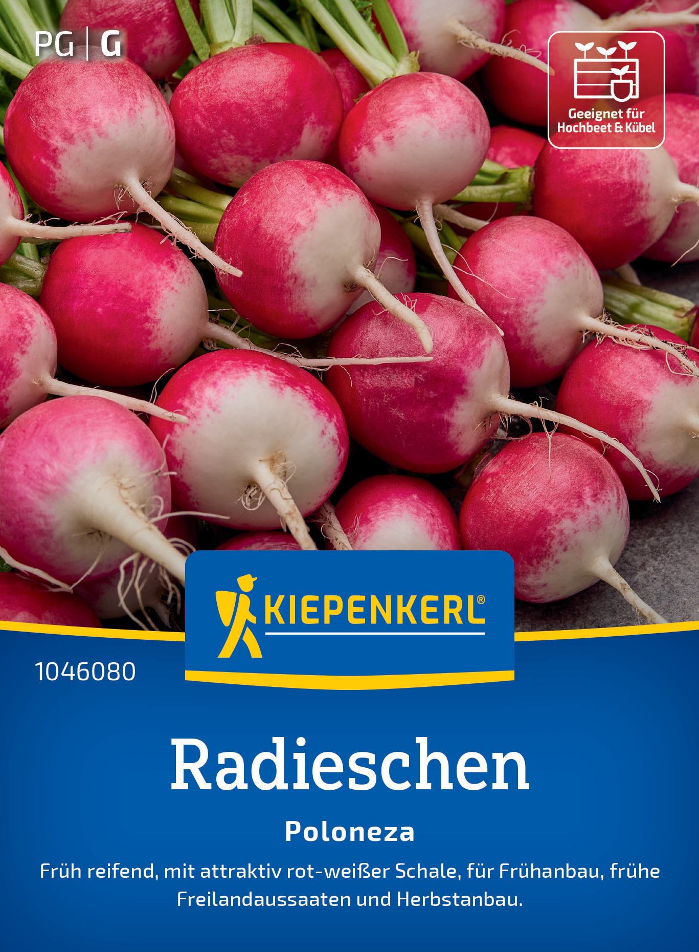 Radieschen Poloneza Radieschen Poloneza