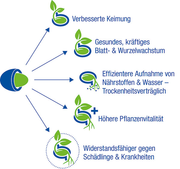 Weniger Dünger, weniger Pestizide: PowerSaat bietet HobbygärtnerInnen eine Lösung für natürliche Selbstversorgung PowerSaat von Kiepenkerl: eine empfehlenswerte Alternative zu herkömmlichem Saatgut