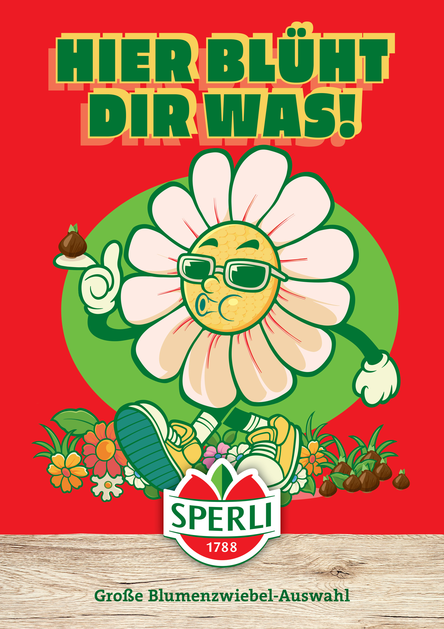 Sperli-Kom.-Konzept Frühjahr - Poster Dahlien-Blüte - DIN A1