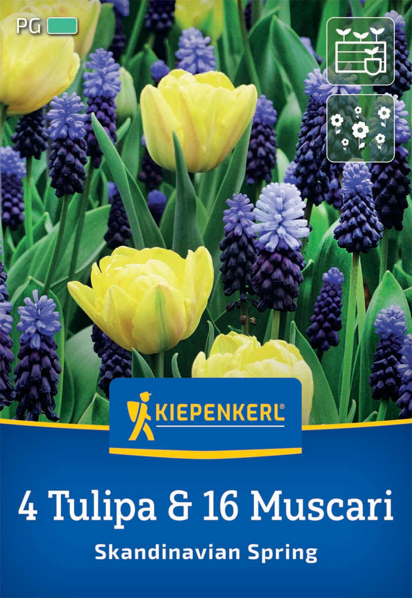 Duo-Mix Skandinavian Spring