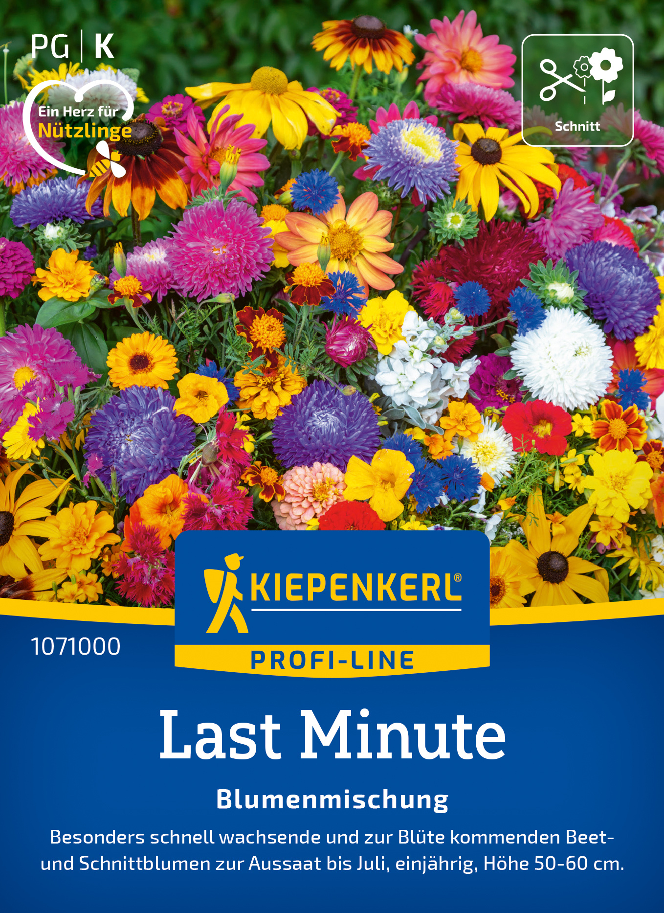 Blumenmischung Last Minute Blumenmischung Last Minute