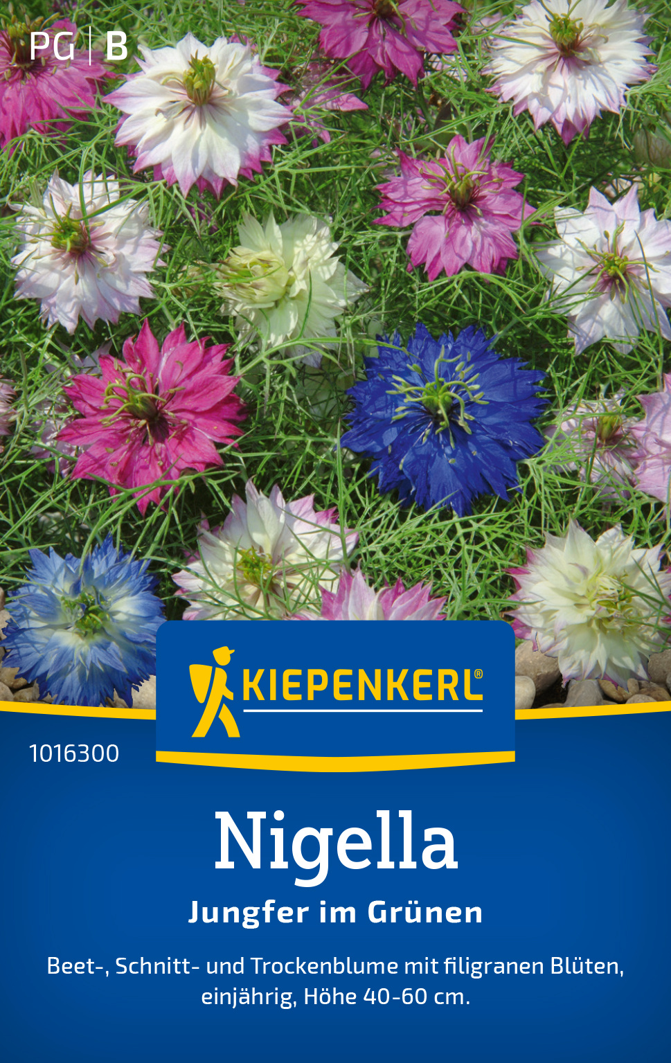 Nigella Jungfer im Grünen