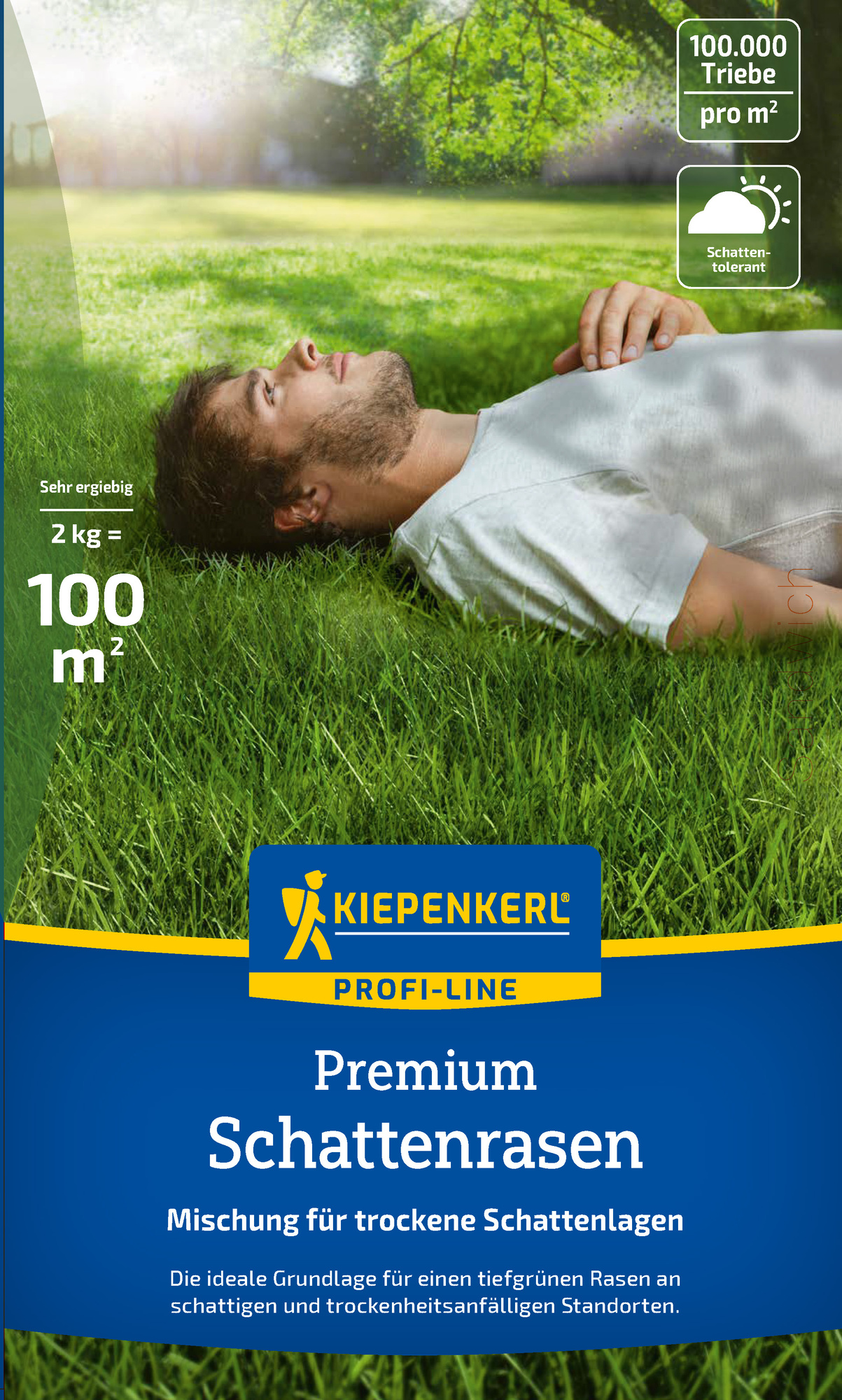 Profi-Line Premium Schattenrasen für Trockenlagen, 2 kg Profi-Line Premium Schattenrasen für Trockenlagen, 2 kg