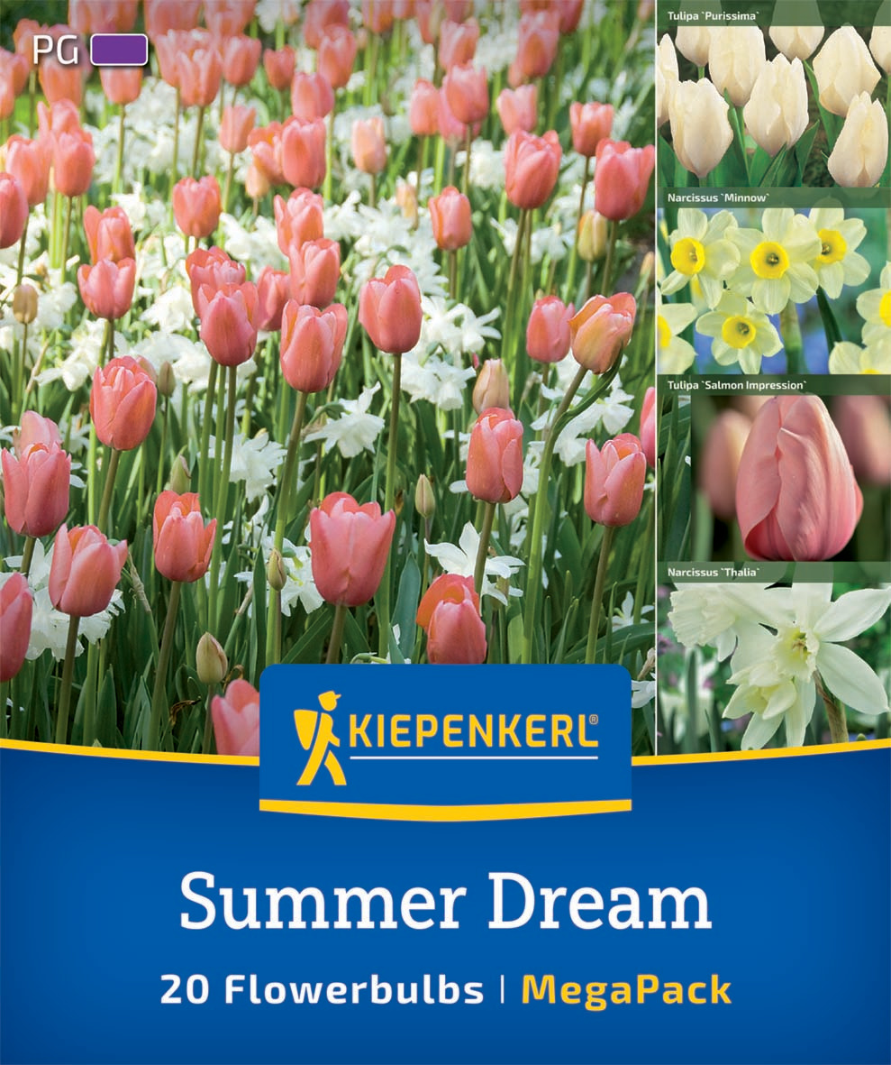 Mega Pack Summer Dream Mega Pack Summer Dream