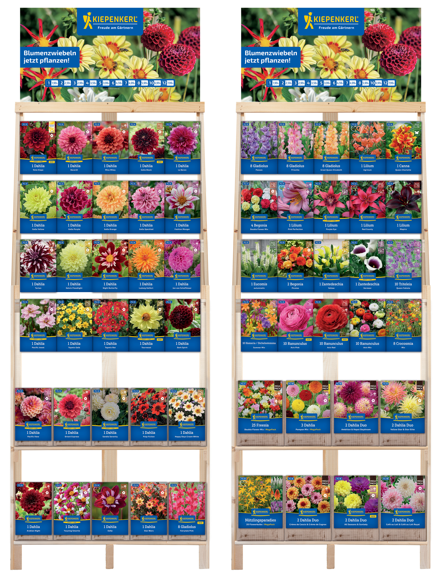 2026 - Frühjahr - Kiepenkerl-Blumenzwiebeln 'Neuheiten & Topseller' in 2 Kombiregalen