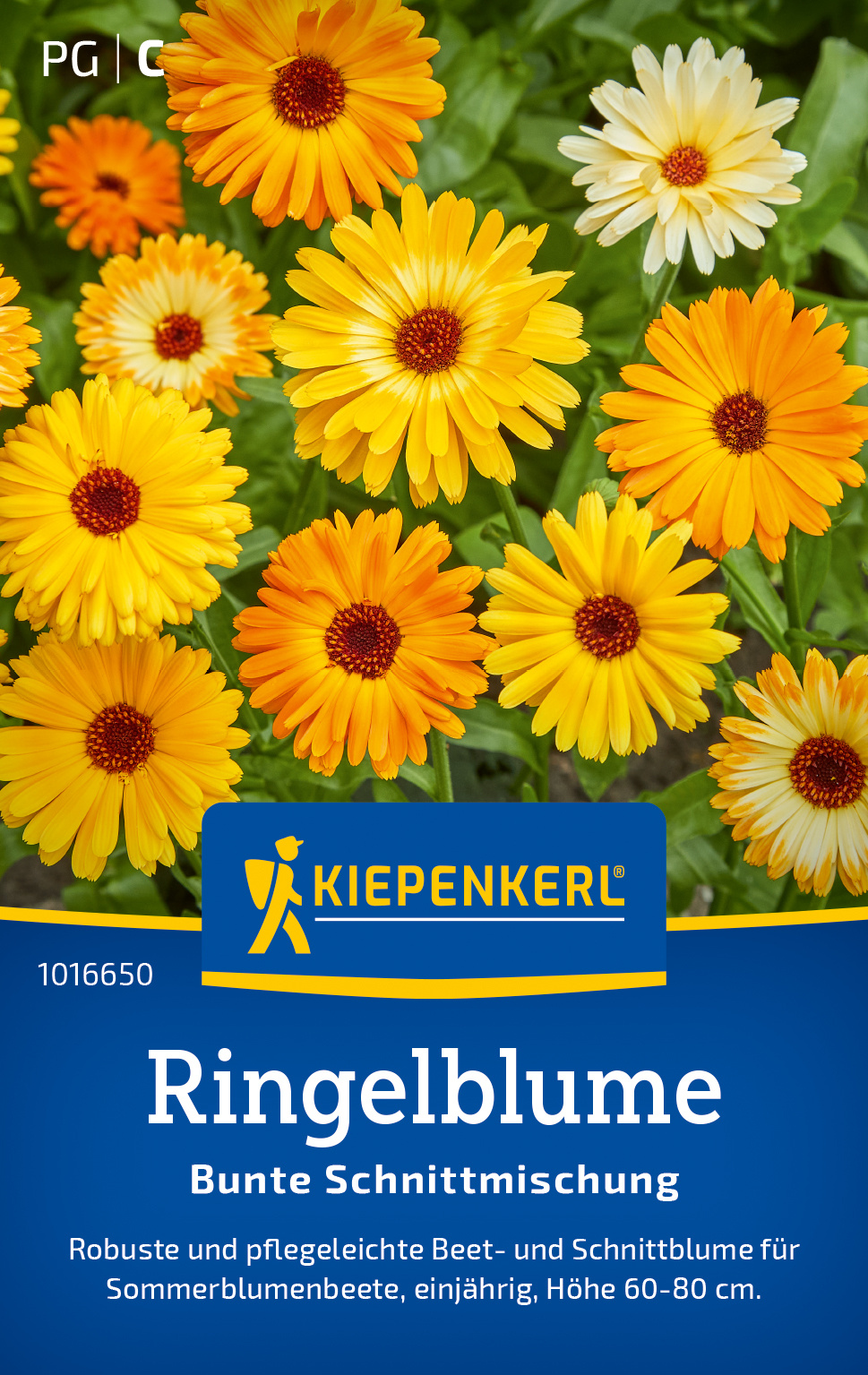 Ringelblume Bunte Schnittmischung
