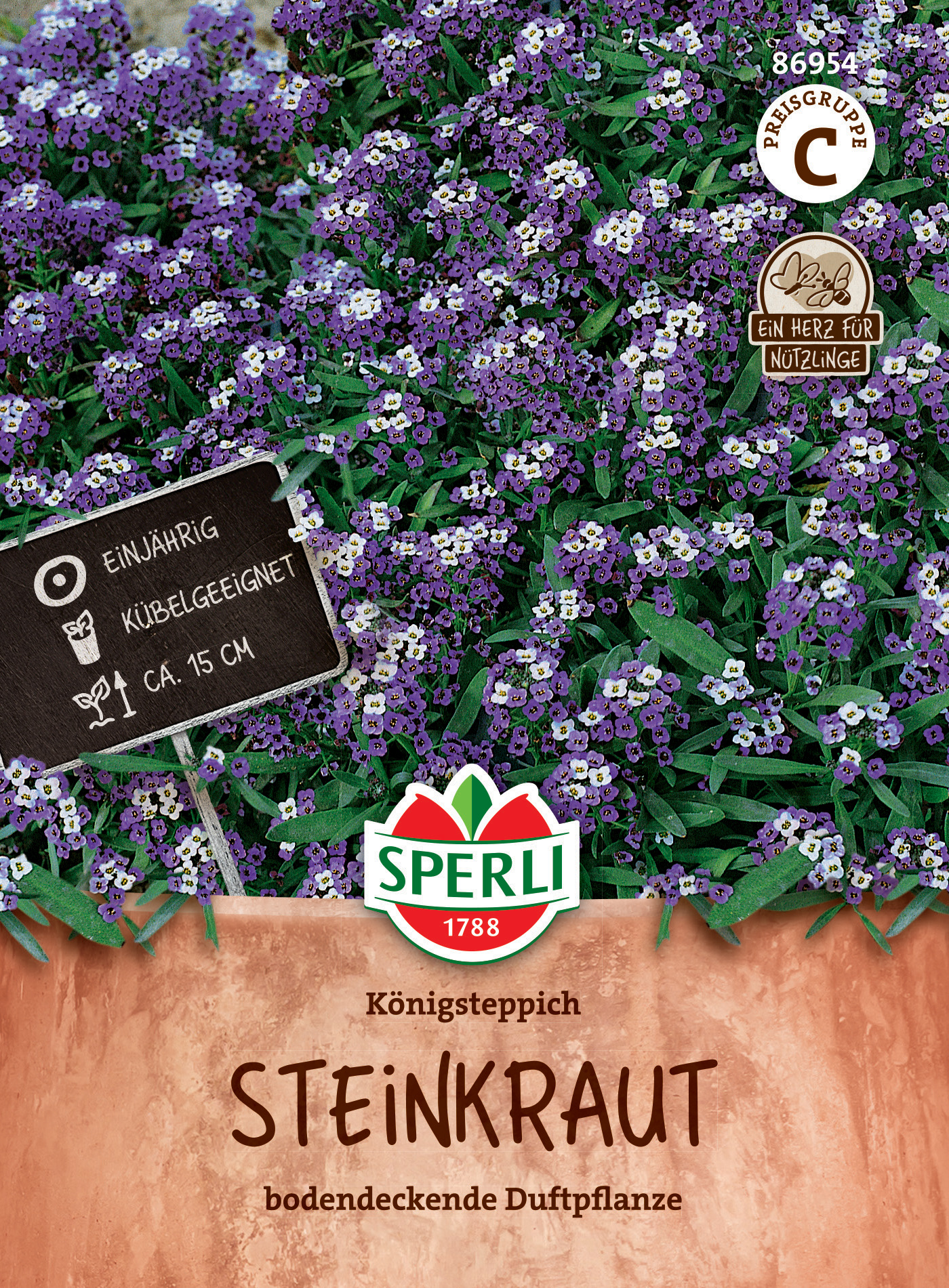 Steinkraut Königsteppich Steinkraut Königsteppich