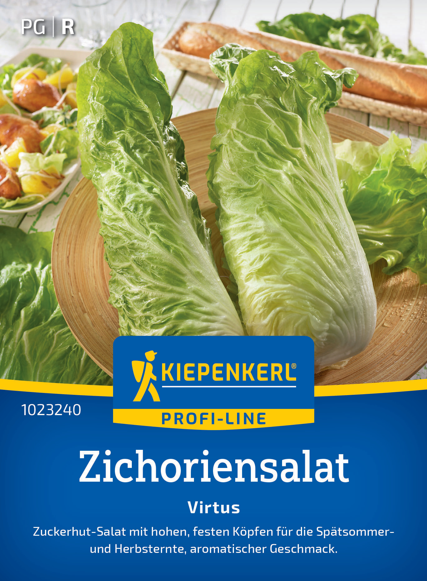 Zichoriensalat Virtus, F1