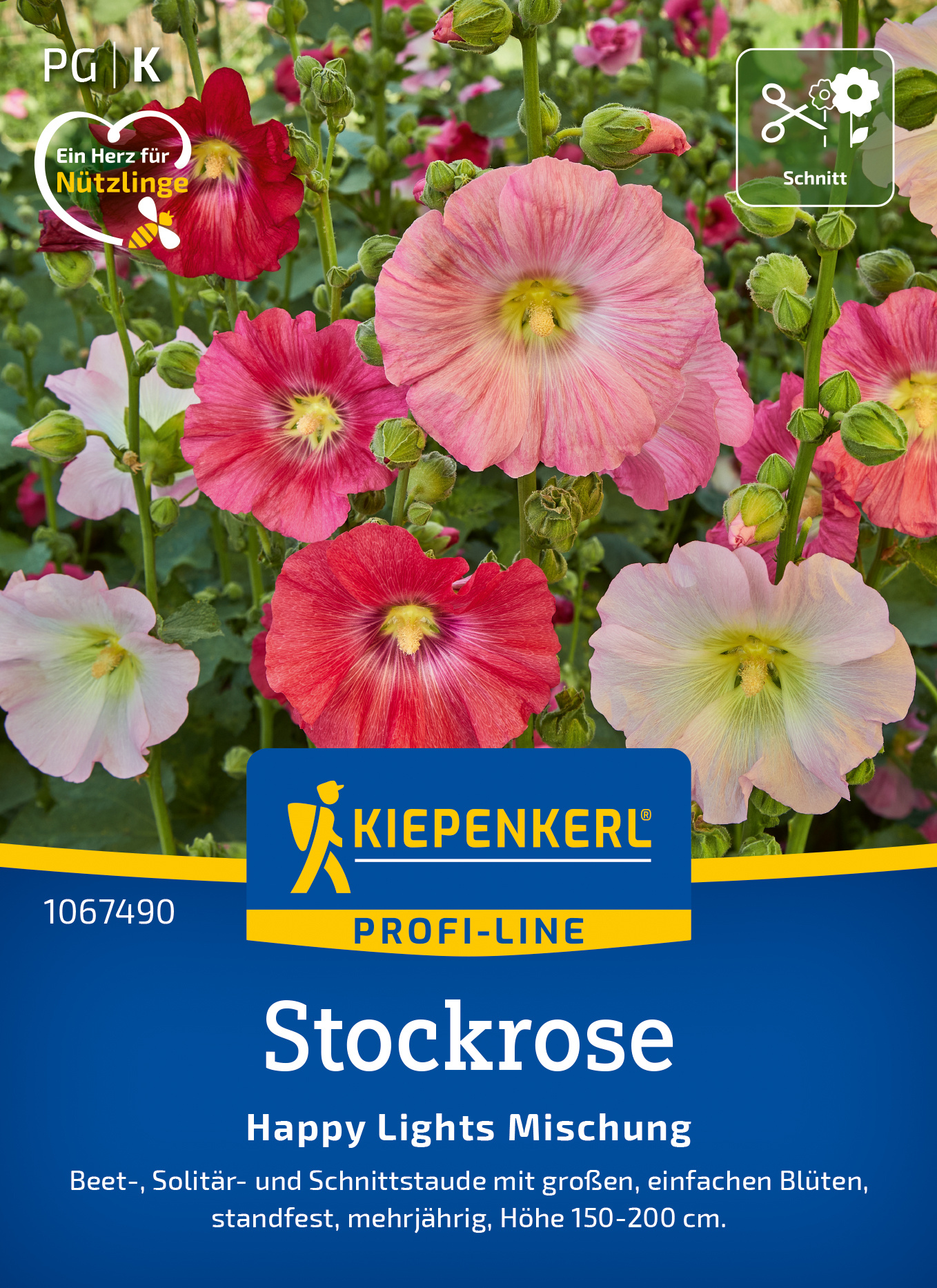 Stockrose Happy Lights Mischung