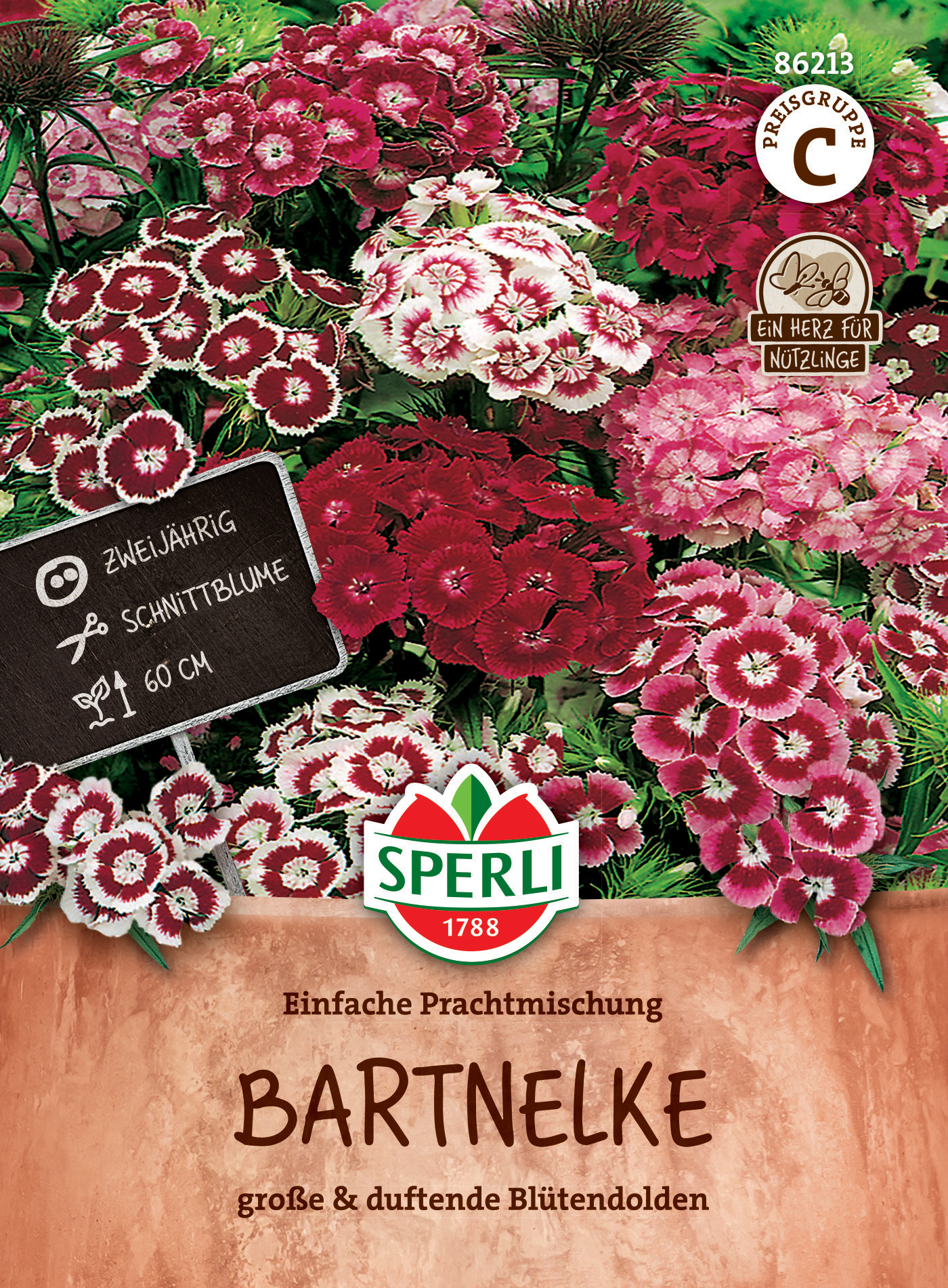Bartnelke Einfache Prachtmischung Bartnelke Einfache Prachtmischung
