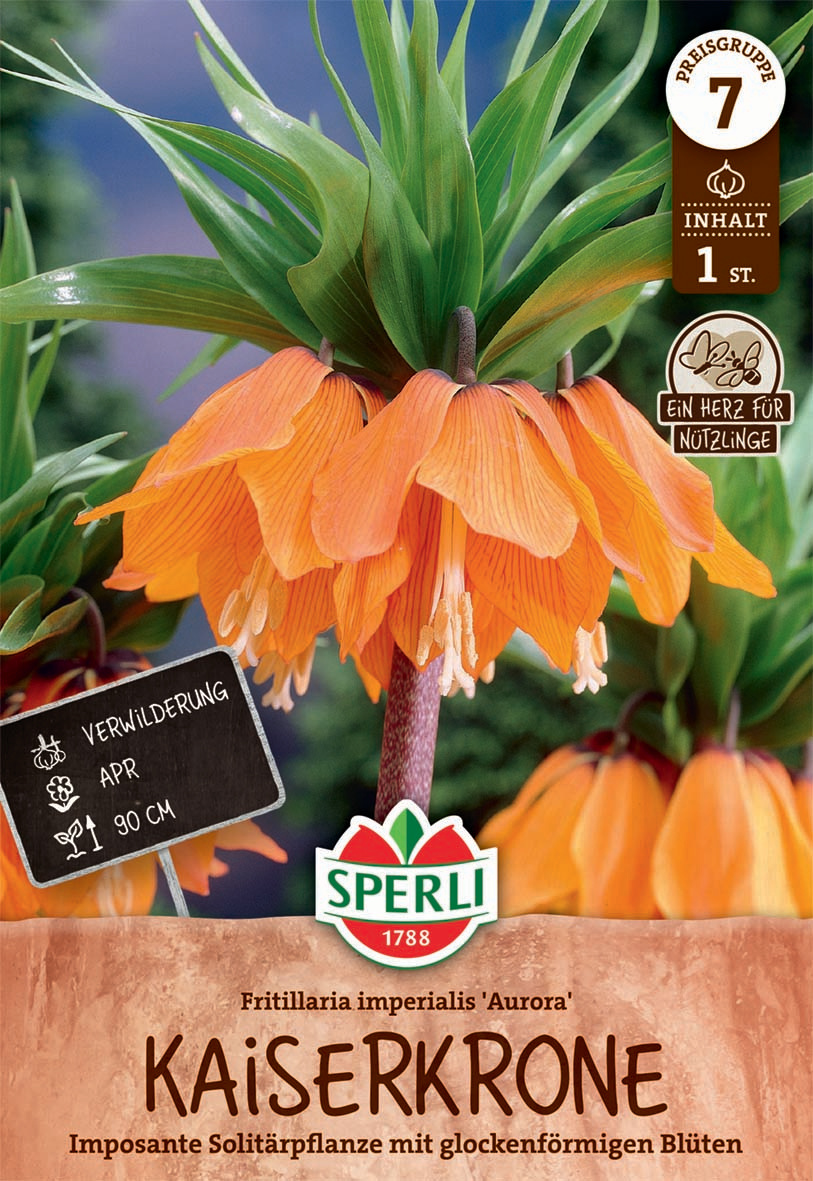 Kaiserkrone Aurora